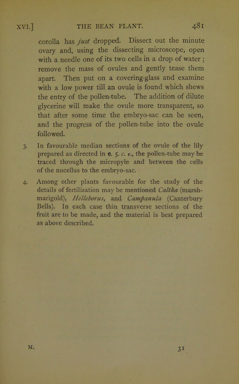 corolla has just dropped. Dissect out the minute ovary and, using the dissecting microscope, open with a needle one of its two cells in a drop of water ; remove the mass of ovules and gently tease them apart. Then put on a covering-glass and examine with a low power till an ovule is found which shews the entry of the pollen-tube. The addition of dilute glycerine will make the ovule more transparent, so that after some time the embryo-sac can be seen, and the progress of the pollen-tube into the ovule followed. 3. In favourable median sections of the ovule of the lily prepared as directed in e. 5. c. e., the pollen-tube may be traced through the micropyle and between the cells of the nucellus to the embryo-sac. 4. Among other plants favourable for the study of the details of fertilization may be mentioned Caltha (marsh- marigold), Helleborus, and Campanula (Canterbury Bells). In each case thin transverse sections of the fruit are to be made, and the material is best prepared as above described. M. 3i