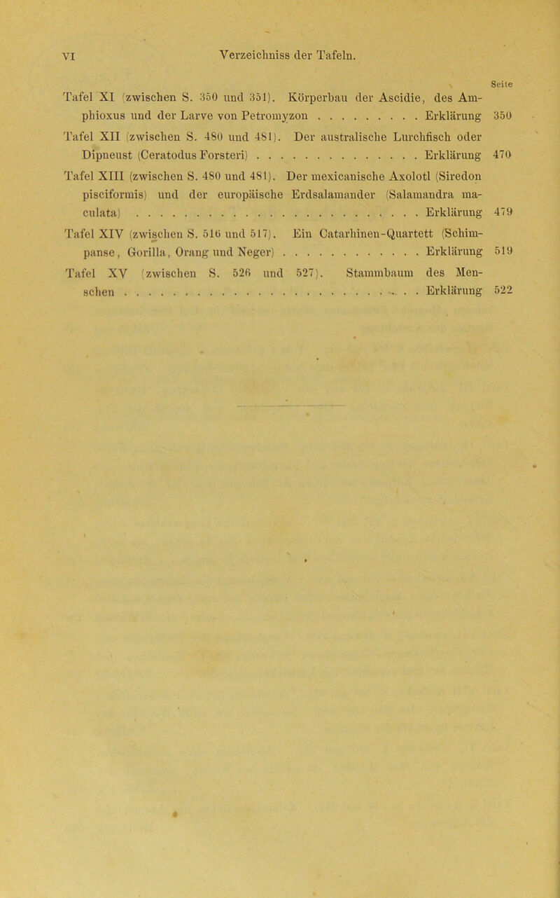 Seile Tafel XI (zwischen S. 350 und 351). Körperbau der Ascidie, des Am- phioxus und der Larve von Petromyzon Erklärung 350 Tafel XII {zwischen S. 480 und 481). Der australische Lurchfisch oder Dipneust (Ceratodus Forsteri) Erklärung 470 Tafel XIII (zwischen S. 480 und 481). Der mexicanische Axolotl (Siredon pisciformis) und der europäische Erdsalamander (Salamandra ma- culata) Erklärung 479 Tafel XIV (zwischen S. 516 und 517). Ein Catarhinen-Quartett (Schim- panse, Gorilla, Orang und Neger) Erklärung 519 Tafel XV (zwischen S. 52fi und 527). Stammbaum des Men- schen . . Erklärung 522