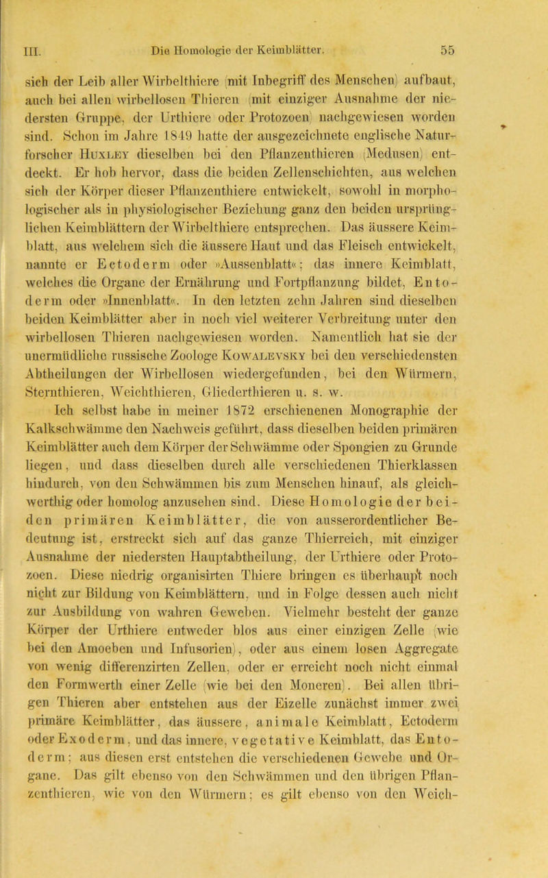 sich der Leib aller Wirbelthiere (mit Inbegriff des Menschen) aufbaut, auch bei allen wirbellosen Thieren (mit einziger Ausnahme der nie- dersten Gruppe, der Urthiere oder Protozoen) nachgewiesen worden sind. Schon im Jahre 1849 hatte der ausgezeichnete englische Natur- forscher Huxley dieselben bei den Pflanzenthieren (Medusen) ent- deckt. Er hob hervor, dass die beiden Zellenschichten, aus welchen sich der Körper dieser PHanzenthiere entwickelt, sowohl in morpho- logischer als in physiologischer Beziehung ganz den beiden ursprüng- lichen Keimblättern der Wirbelthiere entsprechen. Das äussere Keim- blatt, aus welchem sich die äussere Haut und das Fleisch entwickelt, nannte er Ectoderm oder »Aussenblatt«; das innere Keimblatt, welches die Organe der Ernährung und Fortpflanzung bildet, Ento- dcrm oder »Innenblatt«. In den letzten zehn Jahren sind dieselben beiden Keimblätter aber in noch Adel weiterer Verbreitung unter den wirbellosen Thieren nachgewiesen worden. Namentlich hat sie der unermüdliche russische Zoologe Kowalevsky bei den verschiedensten Abtheilungen der Wirbellosen wiedergefunden, bei den Würmern, Sternthieren, Weichthieren, Gliederthieren u. s. w. Ich selbst habe in meiner 1872 erschienenen Monographie der Kalkschwämme den Nachweis geführt, dass dieselben beiden primären Keimblätter auch dem Körper der Schwämme oder Spongien zu Grunde liegen, und dass dieselben durch alle verschiedenen Thierklassen hindurch, von den Schwämmen bis zum Menschen hinauf, als gleich- werthigoder homolog anzusehen sind. Diese Homologie der bei- den primären Keimblätter, die von ausserordentlicher Be- deutung ist, erstreckt sich auf das ganze Thierreich, mit einziger Ausnahme der niedersten Hauptabtheilung, der Urthiere oder Proto- zoen. Diese niedrig organisirten Thiere bringen es iiberhaup't noch nicht zur Bildung von Keimblättern, und in Folge dessen auch nicht zur Ausbildung von wahren Geweben. Vielmehr besteht der ganze Körper der Urthiere entweder blos aus einer einzigen Zelle (wie bei den Amoeben und Infusorien), oder aus einem losen Aggregate von wenig dififerenzirten Zellen, oder er erreicht noch nicht einmal den Formwerth einer Zelle wie bei den Moneren). Bei allen übri- gen Thieren aber entstehen aus der Eizelle zunächst immer zwei primäre Keimblätter, das äussere, animale Keimblatt, Ectoderm oder Exoderm, und das innere, vegetative Keimblatt, das E n t o - derm; aus diesen erst entstehen die verschiedenen Gewebe und Or- gane. Das gilt ebenso von den »Schwämmen und den übrigen Pflan- zenthieren, wie von den Würmern; es gilt ebenso von den Weich-