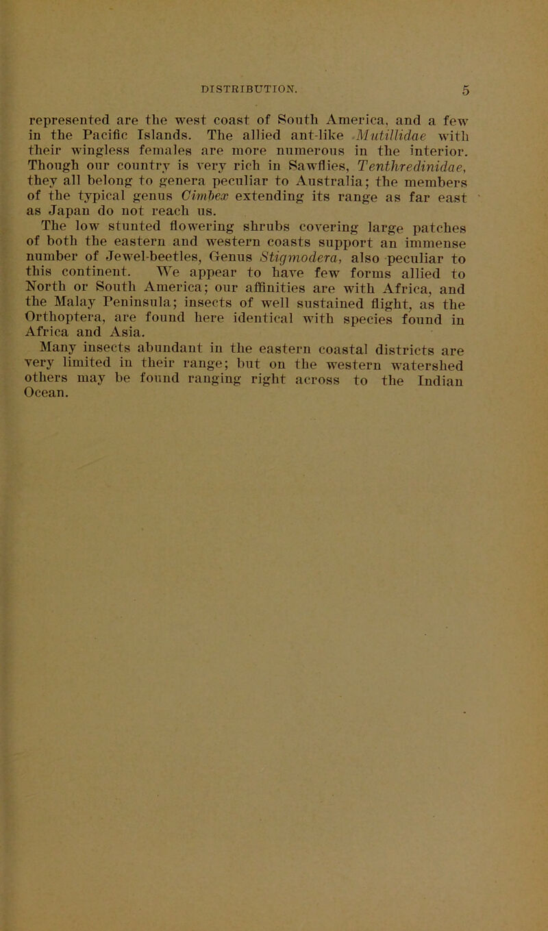 represented are the west coast of South America, and a few in the Pacific Islands. The allied ant-like ■Mutillidae with their wingless females are more numerous in the interior. Though our country is very rich in Sawflies, Tenthredinidae, they all belong to genera peculiar to Australia; the members of the typical genus Gimbex extending its range as far east as Japan do not reach us. The low stunted flowering shrubs covering large patches of both the eastern and western coasts support an immense number of Jewel-beetles, Genus Stigmodera, also peculiar to this continent. We appear to have few forms allied to North or South America; our affinities are with Africa, and the Malay Peninsula; insects of well sustained flight, as the Orthoptera, are found here identical with species found in Africa and Asia. Many insects abundant in the eastern coastal districts are very limited in their range; but on the western watershed others may be found ranging right across to the Indian Ocean.