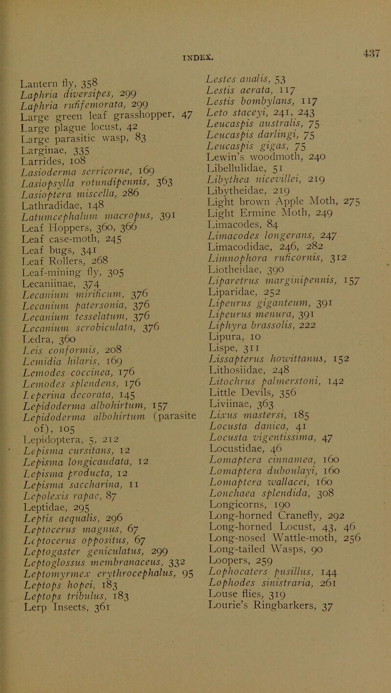 Lantern fly, 358 Laphria diversipes, 299 Laphria rufifemorata, 299 Large green leaf grasshopper, 47 Large plague locust, 42 Large parasitic wasp, 83 Larginae, 335 Larrides, 108 Lasioderma serricorne, 169 Lasiopsylla rotundipennis, 363 Lasioptera miscella, 286 Lathradidae, 148 Latumcephalum macropus, 391 Leaf Hoppers, 360, 366 Leaf case-moth, 245 Leaf bugs, 341 Leaf Rollers, 268 Leaf-mining fly, 305 Lecaniinae, 374 Lecanium mirihcum, 376 Lecanium patersonia, 376 Lecanium tesselatum, 376 Lecanium scrobicnlata, 376 Ledra, 360 Leis conformis, 208 Lemidia hilaris, 169 Lemodes coccinea, 176 Lemodes splendens, 176 Leperina decorata, 145 Lepidoderma albohirtum, 157 Lepidoderma albohirtum (parasite of), 105 Lepidoptera, 5, 212 Lepisma cursitans, 12 Lepisma longicaudata, 12 Lepisma producta, 12 Lepisma saccharina, 11 Lepolexis rapae, 87 Leptidae, 295 Leptis aequalis, 296 Leptocerus magnus, 67 Leptocorns oppositus, 67 Leptogaster geniculatus, 299 Leptoglossus membranaceus, 332 Leptomyrmex erythrocephalus, 95 Leptops hopei, 183 Leptops tribulus, 183 Lerp Insects, 361 Lcstes anal is, 53 Lestis aerata, 117 Lest is bombylans, 117 Leto staceyi, 241, 243 Leucaspis australis, 75 Leucaspis darlingi, 75 Leucaspis gigas, 75 Lewin’s woodmoth, 240 Libellulidae, 51 Libythea nicevil'lei, 219 Libytheidae, 219 Light brown Apple Moth, 275 Light Ermine Moth, 249 Limacodes, 84 Limacodes longerons, 247 Limacodidae, 246, 282 Limnophora ruheornis, 312 Liotheidae, 390 Liparetrus marginipennis, 157 Liparidae, 252 Lipeurus giganteum, 391 Lipeurus menura, 391 Liphyra brassolis, 222 Lipura, 10 Lispe, 311 Lissapterus howittanus, 152 Lithosiidae, 248 Litochrus palmerstoni, 142 Little Devils, 356 Liviinae, 363 Lixus master si, 185 Locusta danica, 41 Locusta vigentissima, 47 Locustidae, 46 Lomaptera cinnamea, 160 Lomaptera duboulayi, 160 Lomaptera zuallacei, 160 Lonchaea splendid a, 308 Longicorns, 190 Long-horned Cranefly, 292 Long-horned Locust, 43, 46 Long-nosed Wattle-moth, 256 Long-tailed Wasps, 90 Loopers, 259 Lophocaters pusillns, 144 Lopliodes sinistraria, 261 Louse flies, 319 Lourie’s Ringbarkers, 37