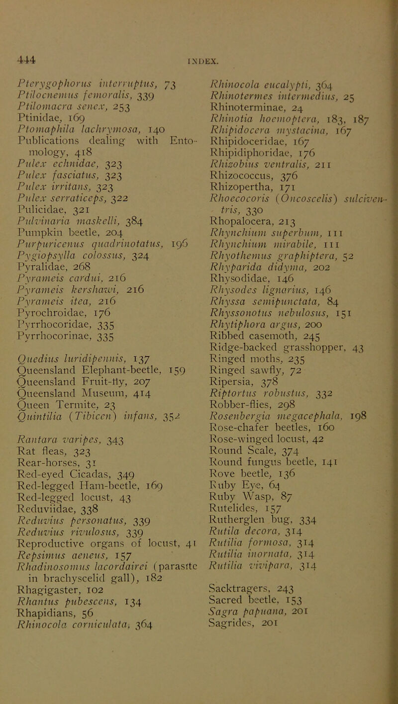 44-4 Pterygophorus inter ruptits, 73 Ptilocnemus femo ralis, 339 Ptilomacra senex, 253 Ptinidae, 169 Ptomaphila lachrymose, 140 Publications dealing with Ento- mology, 418 Pulcx echnidae, 323 Pulex fasciatus, 323 Pulcx irritans, 323 Pulex serraticeps, 322 Pulicidae, 321 Pulvinaria maskelli, 384 Pumpkin beetle, 204 Purpuricenus quadrinotatus, 196 Pygiopsylla colossus, 324 Pyralidae, 268 Pyrameis cardui, 216 Pyrameis kershaivi, 216 Pyrameis itea, 216 Pyrochroidae, 176 Pyrrhocoridae, 335 Pyrrhocorinae, 335 Quedius luridipennis, 137 Queensland Elephant-beetle, 159 Queensland Fruit-fly, 207 Queensland Museum, 414 Queen Termite, 23 Qmntilia (Tibiccn) infans, 352 Rantara varipes, 343 Rat fleas, 323 Rear-horses, 31 Red-eyed Cicadas, 349 Red-legged Ham-beetle, 169 Red-legged locust, 43 Reduviidae, 338 Reduvius personates, 339 Reduvius rivulosus, 339 Reproductive organs of locust, 41 Repsimus aeneiis, 157 Rhadinosomus lacordairei (parasite in brachyscelid gall), 182 Rhagigaster, 102 Rhantus pubescens, 134 Rhapidians, 56 Rhino col a corniculata\ 364 Rhino cola eucalypti, 364 Rhinotermes intermedins, 25 Rhinoterminae, 24 Rhinotia hocinoptera, 183, 187 Rhipidocera mystacina, 167 Rhipidoceridae, 167 Rhipidiphoridae, 176 Rhizobius ventralis, 211 Rbizococcus, 376 Rhizopertha, 171 Rhoecocoris (Oncoscelis) sulciven tris, 330 Rhopalocera, 213 Rhynchium superbum, 111 Rliynchium mirabile, 111 Rhyothemus graphiptera, 52 Rhyparida didyma, 202 Rhysodidae, 146 Rhysodcs lignarius, 146 Rhyssa semipunctata, 84 Rhyssonotus nebulosus, 151 Rhytiphora argus, 200 Ribbed casemoth, 245 Ridge-backed grasshopper, 43 Ringed moths, 235 Ringed sawfly, 72 Ripersia, 378 Riptortus robustus, 332 Robber-flies, 298 Rosenbergia megacephala, 198 Rose-chafer beetles, 160 Rose-winged locust, 42 Round Scale, 374 Round fungus beetle, 141 Rove beetle, 136 Ruby Eye, 6^ Ruby Wasp, 87 Rutelides, 157 Rutherglen bug, 334 Rutila decora, 314 Rulilia formosa, 314 Rutilia inornate, 314 Rutilia vivipara, 314 Sacktragers, 243 Sacred beetle, 153 Sagra papuana, 201 Sagrides, 20 r