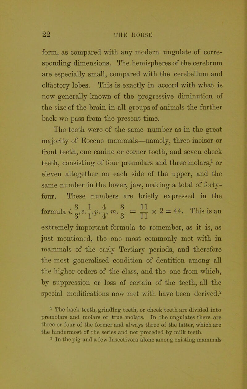 form, as compared with any modern ungulate of corre- sponding dimensions. The hemispheres of the cerebrum are especially small, compared with the cerebellum and olfactory lobes. This is exactly in accord with what is now generally known of the progressive diminution of the size of the brain in all groups of animals the further back we pass from the present time. The teeth were of the same number as in the great majority of Eocene mammals—namely, three incisor or front teeth, one canine or corner tooth, and seven cheek teeth, consisting of four premolars and three molars,1 or eleven altogether on each side of the upper, and the same number in the lower, jaw, making a total of forty- four. These numbers are briefly expressed in the formula i. m. - = — x 2 = 44. ihis is an o 14 o J 1 extremely important formula to remember, as it is, as just mentioned, the one most commonly met with in mammals of the early Tertiary periods, and therefore the most generalised condition of dentition among all the higher orders of the class, and the one from which, by suppression or loss of certain of the teeth, all the special modifications now met with have been derived.2 1 The back teeth, grinding teeth, or cheek teeth are divided into premolars and molars or true molars. In the ungulates there are three or four of the former and always three of the latter, which are the hindermost of the series and not preceded by milk teeth. 2 In the pig and a few Insectivora alone among existing mammals