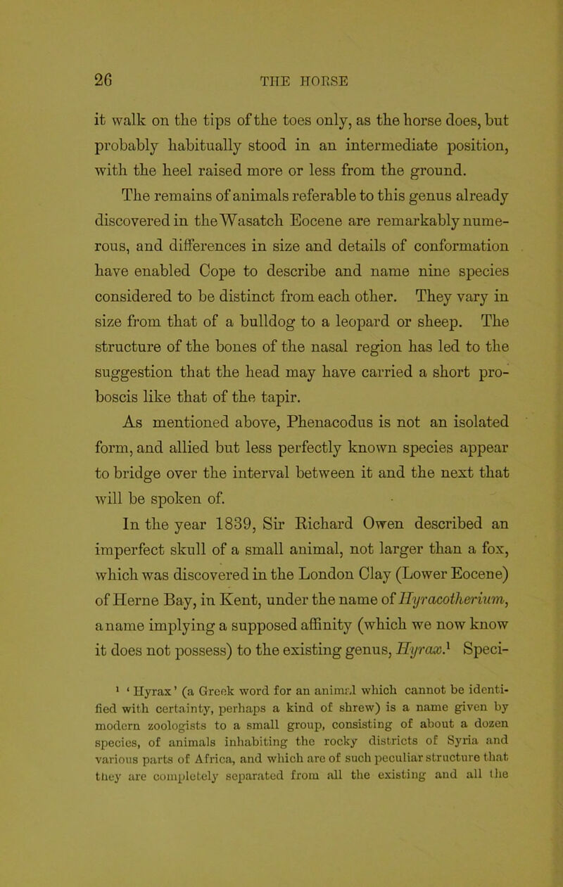 it walk on the tips of the toes only, as the horse does, but probably habitually stood in an intermediate position, with the heel raised more or less from the ground. The remains of animals referable to this genus already discovered in the Wasatch Eocene are remarkably nume- rous, and differences in size and details of conformation have enabled Cope to describe and name nine species considered to be distinct from each other. They vary in size from that of a bulldog to a leopard or sheep. The structure of the bones of the nasal region has led to the suggestion that the head may have carried a short pro- boscis like that of the tapir. As mentioned above, Phenacodus is not an isolated form, and allied but less perfectly known species appear to bridge over the interval between it and the next that will be spoken of. In the year 1839, Sir Bichard Owen described an imperfect skull of a small animal, not larger than a fox, which was discovered in the London Clay (Lower Eocene) of Herne Bay, in Kent, under the name of Ilyracothernim, a name implying a supposed affinity (which we now know it does not possess) to the existing genus, Hyraxd Speci- 1 ‘ Hyrax ’ (a Greek word for an animal which cannot be identi- fied with certainty, perhaps a kind of shrew) is a name given by modern zoologists to a small group, consisting of about a dozen species, of animals inhabiting the rocky districts of Syria .and various parts of Africa, and which are of such peculiar structure that they are completely separated from all the existing and all the