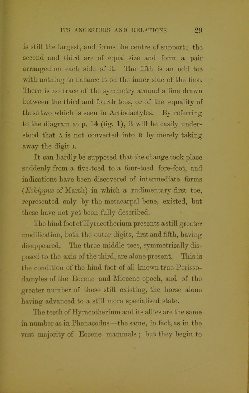 is still the largest, ancl forms the centre of support; the second and third are of equal size and form a pair arranged on each side of it. The fifth is an odd toe with nothing to balance it on the inner side of the foot. There is no trace of the symmetry around a line drawn between the third and fourth toes, or of the equality of these two which is seen in Artiodactyles. By referring to the diagram at p. 14 (fig. 1), it will be easily under- stood that A is not converted into B by merely taking away the digit I. It can hardly be supposed that the change took place suddenly from a five-toed to a four-toed fore-foot, and indications have been discovered of intermediate forms (JEohippus of Marsh) in which a rudimentary first toe, represented only by the metacarpal bone, existed, but these have not yet been fully described. The hind foot of Hyracotherium presents astill greater modification, both the outer digits, first and fifth, having disappeared. The three middle toes, symmetrically dis- posed to the axis of the third, are alone present. This is the condition of the hind foot of all known true Perisso- dactyles of the Eocene and Miocene epoch, and of the greater number of those still existing, the horse alone having advanced to a still more specialised state. The teeth of Hyracotherium and its allies are the same in number as in Phenacodus—the same, in fact, as in the vast majority of Eocene mammals ; but they begin to