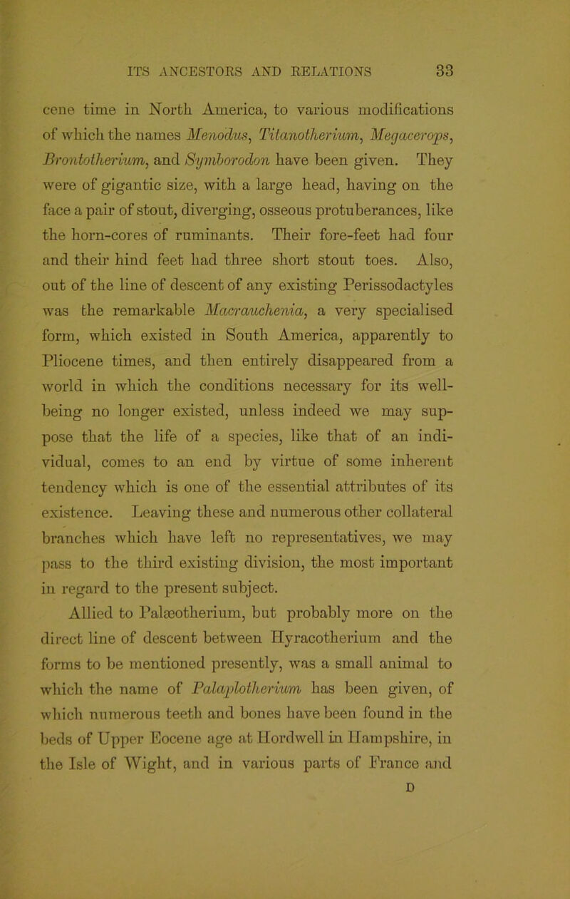 cene time in North America, to various modifications of which the names Menodus, Titanotherium, Megacerops, Brontotherium, and Symborodon have been given. They were of gigantic size, with a large head, having on the face a pair of stout, diverging, osseous protuberances, like the horn-cores of ruminants. Their fore-feet had four and their hind feet had three short stout toes. Also, out of the line of descent of any existing Perissodactyles was the remarkable Mcccrauchenia, a very specialised form, which existed in South America, apparently to Pliocene times, and then entirely disappeared from a world in which the conditions necessary for its well- being no longer existed, unless indeed we may sup- pose that the life of a species, like that of an indi- vidual, comes to an end by virtue of some inherent tendency which is one of the essential attributes of its existence. Leaving these and numerous other collateral branches which have left no representatives, we may pass to the third existing division, the most important in regard to the present subject. Allied to Palseotherium, but probably more on the direct line of descent between Hyracotherium and the forms to be mentioned presently, was a small animal to which the name of Palaplotherium has been given, of which numerous teeth and bones have been found in the beds of Upper Eocene age at Hordwell in Hampshire, in the Isle of Wight, and in various parts of Prance and D