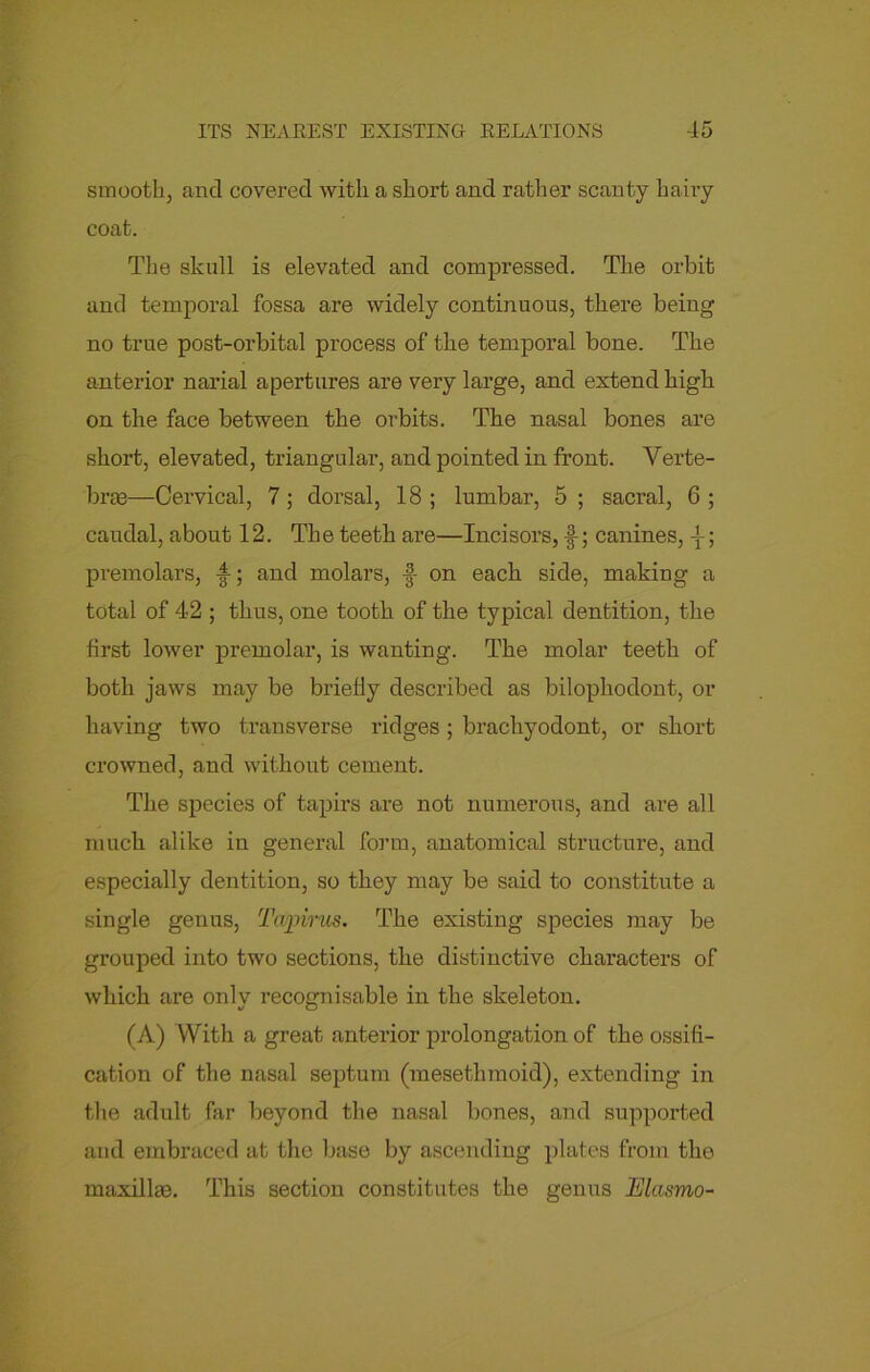 smooth, and covered with a short and rather scanty hairy coat. The skull is elevated and compressed. The orbit and temporal fossa are widely continuous, there being no true post-orbital process of the temporal bone. The anterior narial apertures are very large, and extend high on the face between the orbits. The nasal bones are short, elevated, triangular, and pointed in front. Verte- bras—Cervical, 7; dorsal, 18 ; lumbar, 5 ; sacral, 6 ; caudal, about 12. The teeth are—Incisors, ; canines, y; premolars, and molars, on each side, making a total of 42 ; thus, one tooth of the typical dentition, the first lower premolar, is wanting. The molar teeth of both jaws may be briefly described as bilophodont, or having two transverse ridges ; brachyodont, or short crowned, and without cement. The species of tapirs are not numerous, and are all much alike in general form, anatomical structure, and especially dentition, so they may be said to constitute a single genus, Tcupirus. The existing species may be grouped into two sections, the distinctive characters of which are only recognisable in the skeleton. (A) With a great anterior prolongation of the ossifi- cation of the nasal septum (mesetlimoid), extending in the adult far beyond the nasal bones, and supported and embraced at the base by ascending plates from the maxillaa. This section constitutes the genus Elasmo-