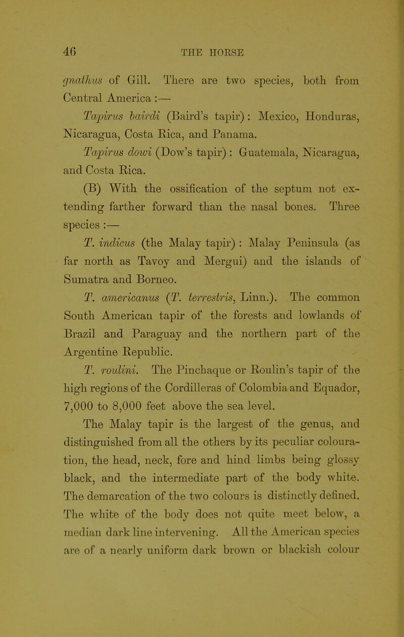 gnathus of Gill. There are two species, both from Central America :— Tapirus bairdi (Baird’s tapir): Mexico, Honduras, Nicaragua, Costa Bica, and Panama. Tapirus clowi (Dow’s tapir) : Guatemala, Nicaragua, and Costa Rica. (B) With the ossification of the septum not ex- tending farther forward than the nasal bones. Three species :— T. indicus (the Malay tapir) : Malay Peninsula (as far north as Tavoy and Mergui) and the islands of Sumatra and Borneo. T. americanus (T. terrestris, Linn.). The common South American tapir of the forests and lowlands of Brazil and Paraguay and the northern part of the Argentine Republic. T. roulini. The Pinchaque or Roulin’s tapir of the high regions of the Cordilleras of Colombia and Equador, 7,000 to 8,000 feet above the sea level. The Malay tapir is the largest of the genus, and distinguished from all the others by its peculiar coloura- tion, the head, neck, fore and hind limbs being glossy black, and the intermediate part of the body white. The demarcation of the two colours is distinctly defined. The white of the body does not quite meet below, a median dark line intervening. All the American species are of a nearly uniform dark brown or blackish colour