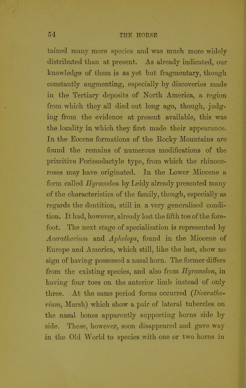 tamed many more species and was much more widely distributed than at present. As already indicated, our knowledge of them is as yet but fragmentary, though constantly augmenting, especially by discoveries made in the Tertiary deposits of North America, a region from which they all died out long ago, though, judg- ing from the evidence at present available, this was the locality in which they first made their appearance. In the Eocene formations of the Eocky Mountains are found the remains of numerous modifications of the primitive Perissodactyle type, from which the rhinoce- roses may have originated. In the Lower Miocene a form called Ryracodon by Leidy already presented many of the characteristics of the family, though, especially as regards the dentition, still in a very generalised condi- tion. It had, however, already lost the fifth toe of the fore- foot. The next stage of specialisation is represented by Aceratherium and AjolLelops, found in the Miocene of Europe and America, which still, like the last, show no sign of having possessed a nasal horn. The former differs from the existing species, and also from Ryracodon, in having four toes on the anterior limb instead of only three. At the same period forms occurred (Dicerathc- rium, Marsh) which show a pair of lateral tubercles on the nasal bones apparently supporting horns side by side. These, however, soon disappeared and gave way in the Old World to species with one or two horns in