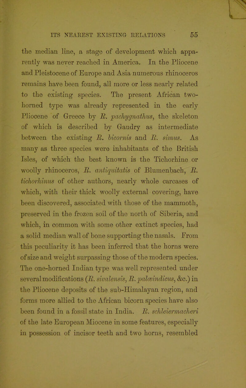 the median line, a stage of development which appa- rently was never reached in America. In the Pliocene and Pleistocene of Europe and Asia numerous rhinoceros remains have been found, all more or less nearly related to the existing species. The present African two- horned type was already represented in the early Pliocene of Greece by R. pachygnathus, the skeleton of which is described by Gaudry as intermediate between the existing R. bicornis and R. simus. As many as three species were inhabitants of the British Isles, of which the best known is the Tichorhine or woolly rhinoceros, R. antiquitatis of Blumenbach, It. tichorhinus of other authors, nearly whole carcases of which, with their thick woolly external covering, have been discovered, associated with those of the mammoth, preserved in the frozen soil of the north of Siberia, and which, in common with some other extinct species, had a solid median wall of bone supporting the nasals. From this peculiarity it has been inferred that the horns were of size and weight surpassing those of the modern species. The one-horned Indian type was well represented under several modifications (R. sivalensis, R. palceindicus, &c.) in the Pliocene deposits of the sub-Himalayan region, and forms more allied to the African bicorn species have also been found in a fossil state in India. R. schleiermcicheri of the late European Miocene in some features, especially in possession of incisor teeth and two horns, resembled