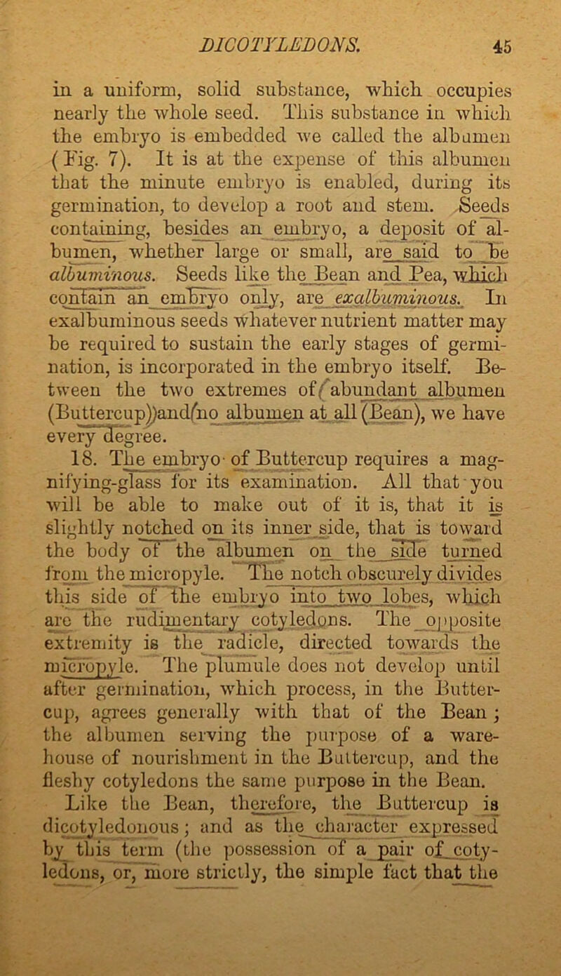 in a uniform, solid substance, which occupies nearly the whole seed. This substance in which the embryo is embedded we called the albumen (Tig. 7). It is at the expense of this albumen that the minute embryo is enabled, during its germination, to develop a root and stem. Seeds containing, besides an embryo, a deposit of al- bumen, whether large or small, are said to be albuminous. Seeds like the Bean and Pea, which cohfam^an embryo only, are exalbuminous^ In exalbuminous seeds whatever nutrient matter may be required to sustain the early stages of germi- nation, is incorporated in the embryo itself. Be- tween the two extremes of ^abundant albumen (Buttercup))andfno albumen at all (Bean), we have everyTIegree. 18. The embryo - of Buttercup requires a mag- nifying-glass for its examination. All that you will be able to make out of it is, that it is slightly notched on its inner side, that is toward the body ot the albumen on the side turned from the micropyle. The notch obscurely divides this side of The embryo into two lobes, which are the rudimentary cotyledons. The opposite extremity is the radicle, directed towards the micropyle. The plumule does not develop until after germination, which process, in the Butter- cup, agrees generally with that of the Bean ; the albumen serving the purpose of a ware- house of nourishment in the Buttercup, and the fleshy cotyledons the same purpose in the Bean. Like the Bean, therefore, the Buttercup is dicotyledonous; and as the character expressed by this term (the possession of a pair of_coty- ledons, or, more strictly, the simple fact that_the