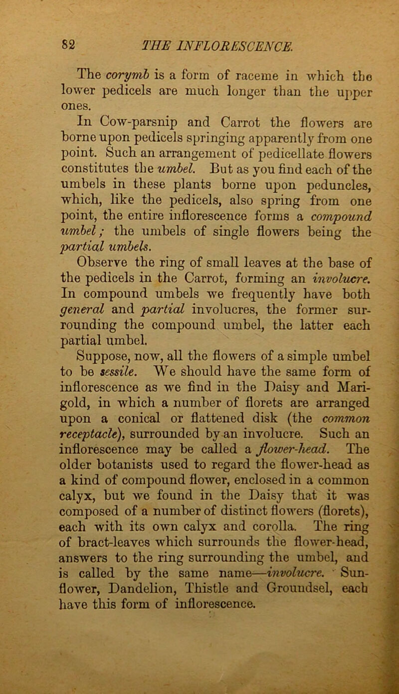 The corymb is a form of raceme in which the lower pedicels are much longer than the upper ones. In Cow-parsnip and Carrot the flowers are home upon pedicels springing apparently from one point. Such an arrangement of pedicellate flowers constitutes the umbel. But as you find each of the umbels in these plants borne upon peduncles, which, like the pedicels, also spring from one point, the entire inflorescence forms a compound umbel; the umbels of single flowers being the partial umbels. Observe the ring of small leaves at the base of the pedicels in the Carrot, forming an involucre. In compound umbels we frequently have both general and partial involucres, the former sur- rounding the compound umbel, the latter each partial umbel. Suppose, now, all the flowers of a simple umbel to he sessile. We should have the same form of inflorescence as we find in the Daisy and Mari- gold, in which a number of florets are arranged upon a conical or flattened disk (the common receptacle), surrounded by an involucre. Such an inflorescence may be called a Jlower-head. The older botanists used to regard the flower-head as a kind of compound flower, enclosed in a common calyx, but we found in the Daisy that it was composed of a number of distinct flowers (florets), each with its own calyx and corolla. The ring of bract-leaves which surrounds the flower-head, answers to the ring surrounding the umbel, and is called by the same name—involucre. Sun- flower, Dandelion, Thistle and Groundsel, each have this form of inflorescence.