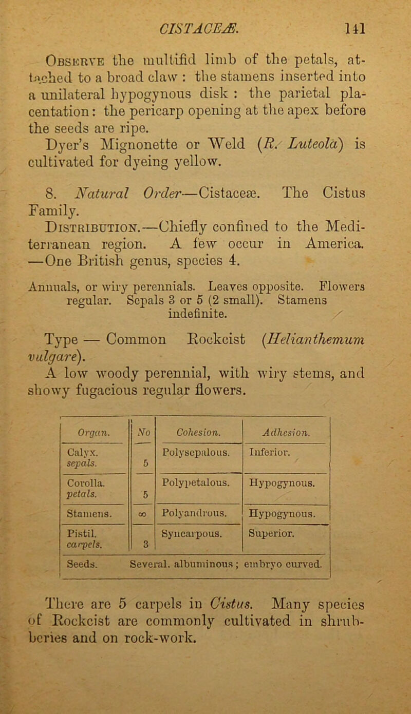 Observe the multifid limb of the petals, at- tached to a broad claw : the stamens inserted into a unilateral hypogynous disk : the parietal pla- centation: the pericarp opening at the apex before the seeds are ripe. Dyer’s Mignonette or Weld (R. Luteola) is cultivated for dyeing yellow. 8. Natural Order—Cistacese. The Cistus Family. Distribution.—Chiefly confined to the Medi- terranean region. A few occur in America. —One British genus, species 4. Annuals, or wiry perennials. Leaves opposite. Flowers regular. Sepals 3 or 5 (2 small). Stamens indefinite. Type — Common Rockcist (Helianthemum vulgare). A low woody perennial, with wiry stems, and showy fugacious regular flowers. Organ. 1 .Vo Cohesion. Adhesion. Calyx. sepals. 5 Polyscpalous. Inferior. Corolla. petals. 5 Polypetalous. Hypogynous. Stamens. CO Polyandrous. Hypogynous. Pistil. caipels. 3 Syncarpous. Superior. Seeds. Several, albuminous; embryo curved. There are 5 carpels in Cistus. Many species of Rockcist are commonly cultivated in shrub- beries and on rock-work.