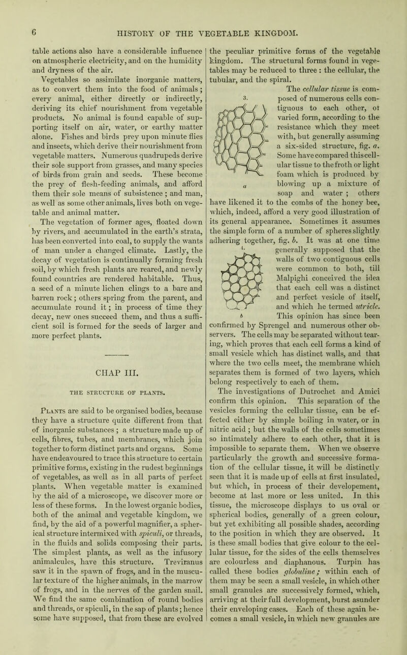 table actions also have a considerable influence on atmospheric electricity, and on the humidity and dryness of the air. Vegetables so assimilate inorganic matters, as to convert them into the food of animals; every animal, either directly or indirectly, deriving its chief nourishment from vegetable products. No animal is found capable of sup- porting itself on air, water, or earthy matter alone. Fishes and birds prey upon minute flies and insects, which derive their nourishment from vegetable matters. Numerous quadrupeds derive their sole support from grasses, and many species of birds from grain and seeds. These become the prey of flesh-feeding animals, and afford them their sole means of subsistence ; and man, as well as some other animals, lives both on vege- table and animal matter. The vegetation of former ages, floated down by rivers, and accumulated in the earth’s strata, has been converted into coal, to supply the wants of man under a changed climate. Lastly, the decay of vegetation is continually forming fresh soil, by which fresh plants are reared, and newly found countries are rendered habitable. Thus, a seed of a minute lichen clings to a bare and barren rock; others spring from the parent, and accumulate round it; in process of time they decay, new ones succeed them, and thus a suffi- cient soil is formed for the seeds of larger and more perfect plants. CHAP III. THE STRUCTURE OF PLANTS. Plants are said to be organised bodies, because they have a structure quite different from that of inorganic substances ; a structure made up of cells, fibres, tubes, and membranes, which join together to form distinct parts and organs. Some have endeavoured to trace this structure to certain primitive forms, existing in the rudest beginnings of vegetables, as well as in all parts of perfect plants. When vegetable matter is examined by the aid of a microscope, we discover more or less of these forms. In the lowest organic bodies, both of the animal and vegetable kingdom, we find, by the aid of a powerful magnifier, a spher- ical structure intermixed with spiculi, or threads, in the fluids and solids composing their parts. The simplest plants, as well as the infusory animalcules, have this structure. Treviranus saw it in the spawn of frogs, and in the muscu- lar texture of the higher animals, in the marrow of frogs, and in the nerves of tire garden snail. We find the same combination of round bodies and threads, or spiculi, in the sap of plants; hence some have supposed, that from these are evolved the peculiar primitive forms of the vegetable kingdom. The structural forms found in vege- tables may be reduced to three : the cellular, tire tubular, and the spiral. The cellular tissue is com- posed of numerous cells con- tiguous to each other, of varied form, according to the resistance which they meet with, but generally assuming a six-sided structure, fig. a. Some have compared this cell- ular tissue to the froth or light foam which is produced by blowing up a mixture of soap and water ; others have likened it to the combs of the honey bee, which, indeed, afford a very good illustration of its general appearance. Sometimes it assumes the simple form of a number of spheres slightly adhering together, fig. b. It was at one time 4- generally supposed that the f walls of two contiguous cells were common to both, till Malpighi conceived the idea that each cell was a distinct and perfect vesicle of itself, and which he termed utricle. t> This opinion has since been confirmed by Sprengel and numerous other ob- servers. The cells may be separated without tear- ing, which proves that each cell forms a kind of small vesicle which has distinct walls, and that where the two cells meet, the membrane which separates them is formed of two layers, which belong respectively to each of them. The investigations of Dutrochet and Amici confirm this opinion. This separation of the vesicles forming the cellular tissue, can be ef- fected either by simple boiling in water, or in nitric acid ; but the walls of the cells sometimes so intimately adhere to each other, that it is impossible to separate them. When we observe particularly the growth and successive forma- tion of the cellular tissue, it will be distinctly seen that it is made up of cells at first insulated, but which, in process of their developement, become at last more or less united. In this tissue, the microscope displays to us oval or spherical bodies, generally of a green colour, but yet exhibiting all possible shades, according to the position in which they are observed. It is these small bodies that give colour to the cel- lular tissue, for the sides of the cells themselves are colourless and diaphanous. Turpin has called these bodies globuline ; within each of them may be seen a small vesicle, in which other small granules are successively formed, which, arriving at their full development, burst asunder their enveloping cases. Each of these again be- comes a small vesicle, in which new granules are