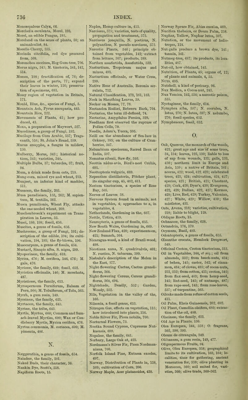 Monosepalous Calyx, 66. Morchella esculenta, Morel, 193. Morel, an edible Fungus, 193. Moreland on the sexes of plants, 58; an animalculist, 84. Morello Cherry, 335. Morinda citrifolia, red dye procured from, 508. Moronobea coccinea, Hog Gum-tree, 706. Morus nigra, 343; M. tinctoria, 141,142, 514. Mosses, 198; fructification of, 76; de- scription of the parts, 77; expand their leaves in winter, 126; preserva- tion of specimens, 6S1. Mossy region of vegetation in Britain, 171. Mould, Blue, &c., species of Fungi, 5. Mountain Ash, Pyrus aucuparia, 445. Mountain Rice, 222. Movements of Plants, 42; how pro- duced, 43. Moxa, a preparation of Maywort, 527. Mucedinese, a group of Fungi, 192. Mucilage from Gum Arabic, 557; Traga- canth, 558; St. John’s Bread, 559. Mucus eresyphe, a fungus in mildew, 130. Mulberry, Moms, 343 ; historical no- tices, 343; varieties, 344. Multiple Bulbs, 37; tubercles, 37; fruit, 94. Mum, a drink made from oats, 218. Mung-corn, mixed rye and wheat, 213. Munjeet, an inferior kind of madder, 511. Musaceae, the family, 203. Musa paradisiaca, 153, 262; M. sapien- tum, M. textilis, 262. Musca pumilionis, Wheat Fly, attacks the one-seeded wheat, 209. Muschenbroeck’s experiment on Trans- piration in Leaves, 52. Musci, 180, 198; fossil, 656. Muscites, a genus of fossils, 656. Mushrooms, a group of Fungi, 191; de- scription of the edible, 194; its culti- vation, 194, 195; the fly-blown, 196. Musocarpum, a genus of fossils, 654. Mustard, Sinapis alba, S. nigra, 299. Myoporinese, the family, 618. Myrica, 476; M. cerifera, 146, 476; M. gale, 476. Myriceae, the family, 649; fossil, 652. Myristica officinalis, 146; M. moscliata, 487. Myristiceae, the family, 613. Myrospermum Peruiferum, Balsam of Peru, 564; M. Toluiferum, of Tolu, 563. Myrrh, a gum resin, 149. Myrsineae, the family, 621. Myrtaceae, the family, 643. Myrteae, the tribe, 643. Myrtle, Myrtus, 600; Common and Sum- ach-leaved Myrtles, 600; Wax or Can- dleberry Myrtle, Myrica cerifera, 476. Myrtus communis, M. coriacea, 600; M. pimenta, 486. N. Nseggerathia, a genus of fossils, 654. Naiadeae, the family, 201. Naked Buds, their character, 36. Nankin Dye, Scott’s, 51S. Napiform Roots, 15. Naples, Hemp culture in, 415. Narcissus, 575; varieties, tests of quality, propagation and treatment, 575. Narcissus jonquilla, N. poeticus, N. polyanthus, N. pseudo-narcissus, 575. Narcotic Plants, 546 ; principle ob- tained from vegetables, 142; extract from lettuce, 307; products, 388. Narthex assafoetida, Assafoetida, 533. Nasturtium, Tropoleum majus and minus, 491. Nasturtium officinale, or Water Cress, 299. Native Rose of Australia, Boronia ser- rulata, 712. Natural Classification, 173, 181,183. Neck in Sheathing Leaves, 39. Necker on Mosses, 77, 78. Nectandra Rodisei, Bebeeru Bark, 704. Nectaries, the term ill-defined, 74. Nectarine, Amygdalus Persica, 329. Needham first observed the rupture of Pollen Cells, 70. Needle, Adam’s, Yucca, 595. Neill on the abundance of Sea-lace in Orkney, 1S5; on the culture of Cran- berries, 347. Nelumbium speciosum, Sacred Bean of India, 597. Nematus ribesii, Saw-fly, 346. Neottia nidus-avis, Bird’s-nest Orcliis, 691. Neottopteris vulgaris, 6S9. Nepenthes distillatoria, Pitcher plant, its singular cup, 45, 482, 611. Nerium tinctorium, a species of Rose Bay, 505. Nerves of Leaves 38. Nervous System found in animals, not in vegetables, 4; approaches to a, in vegetables, 4. Netherlands, Gardening in the, 667. Nettle, Urtica, 419. Neuropteris, a genus of fossils, 655. New South Wales, Gardening in, 669. New Zealand Flax, 420; experiments on, 421; Sumach, 304. Nicaragua-wood, a kind of Brazil-wood, 498. Nicotiana nana, N. quadrivalvis, 401; N. nistica, N. tabacum, 399. Niebuhr’s description of the Melon in the East, 377. Night-flowering Cactus, Cactus grandi- florus, 364. Night-flowering Cereus, Cereus grandi- florus, 364, 694. Nightshade, Deadly, 552 ; Garden, Woody, 552. Nile, Vegetation in the valley of the, 166. Nilsonia, a fossil genus, 653. Nitrogen Gas, effects on vegetation, 115; how introduced into plants, 116. Noble Silver Fir, Picea nobilis, 700. Nocturnal Flowers, 73. Nootka Sound Cypress, Cupressus Nut- kaensis, 699. Nopalese, the family, 641. Norbury, Large Oak at, 423. Nordmann’s Silver Fir, Picea Nordman- niana, 700. Norfolk Island Pine, Eutassa excelsa, 697. Norway, Distribution of Plants in, 15S, 160; cultivation of Com, 206. Norway Maple, Acer platanoides, 438. Norway Spruce Fir, Abies excelsa, 469. Nucifera thebaica, or Doum Palm, 258. Nupliar, Yellow, Nuphar lutea, 597. Nutation, or the movement of helio- tropes, 124. Nut-galls produce a brown dye, 141; tannin, 141. Nutmeg-tree, 4S7; its products, its loca- lities, 4S7. Nut-oil, how obtained, 145. Nutrition, of Plants, 45; organs of, 12; of plants and animals, 4, 55. Nuts, 695. Nutshell, a kind of pericarp, 96. Nux Medica, a Cocoa-nut, 241. Nux Vomica, 142, 554; a narcotic poison, 555. Nyctaginese, the family, 614. Nymphea alba, 597; N. coerulea, N. lotus, 270; N. lutea, 597; N. nelumbo, 270; fossil species, 652. Nympheacese, fossil, 652. o. Oak, Quercus, the monarch of the woods, 421; great age and size of some trees, 34, 134; leaves, 125,130; liable to loss of sap from wounds, 131; galls, 133, 430; northern limit in Europe and Asia, 159; a native of Britain, 161; acorns, 422; wood, 422, 423; celebrated trees, 423, 424; cultivation, 424, 427; species. 421; British, 421; Chestnut, 429; Cork, 428; Dyer’s, 430; Evergreen, 422, 428; Italian, 422, 427; Kermes, 428; Live, Red, 429; Turkey, Valonian, 427; White, 429; Willow, 430; the mistletoe, 431. Oats, Avena, 218; varieties, cultivation, 218; liable to blight, 129. Oblique Roots, 15. Ochnacese, the family, 628. Octandria, 176, 179. Ocymum, Basil, 493. Odontopteris, a genus of fossils, 655. CEnanthe crocata, Hemlock Dropwort, 549. Officinal Croton, Croton tinctorium, 513. Oil in Vegetables, 144, et seq.\ oil from almonds, 332; from beech-nuts, 434; of behen, 145; castor, 542; of cinna- mon, 4S4; of cloves, 485; of cocoa-nuts, 251, 252; from cotton, 411; croton, 542; from flax-seed, 403; from hemp-seed, 145; lint-seed, 145; of nutmegs, 487; from rape-seed, 145; from rose-leaves, 537; of turpentine, 563. Oilcake made from refuse of cotton seeds, 411. Oil Palm, Elseis Guineensis, 262, 692. Oil Plant, Camellia oleifera, 480; extrac- tion of the oil, 480. Olacinese, the family, 631. Old Age in Plants, 136. Olea Europsea, 144, 358; O. fragrans, 362, 390, 393. Oleum de citrangula, 349. Olibanum, a gum resin, 149, 477. Oligospermous Fruits, 94. Olive, Olea Europsea, 358; geographical limits to its cultivation, 163, 164; lo- calities, time for gathering, ancient veneration for, 359; olive planting in Moroccco, 360; soil suited for, vari- eties, 360; olive trade, 360-362.