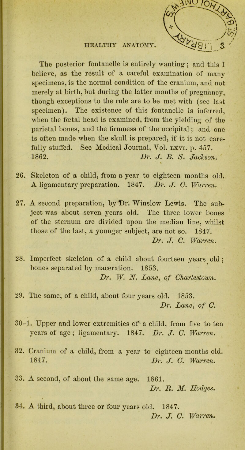 The posterior fontanelle is entirely wanting; and this I believe, as the result of a careful examination of many specimens, is the normal condition of the cranium, and not merety at birth, but during the latter months of pregnancy, though exceptions to the rule are to be met with (see last specimen). The existence of this fontanelle is inferred, when the foetal head is examined, from the yielding of the parietal bones, and the firmness of the occipital; and one is often made when the skull is prepared, if it is not care- fully stuffed. See Medical Journal, Vol. lxvi. p. 457. 1862. Dr. J. B. S. Jackson. 26. Skeleton of a child, from a year to eighteen months old. A ligamentary preparation. 1847. Dr. J. C. Warren. 27. A second preparation, by Dr. Winslow Lewis. The sub- ject was about seven years old. The three lower bones of the sternum are divided upon the median line, whilst those of the last, a younger subject, are not so. 1847. Dr. J. C. War, 'en. 28. Imperfect skeleton of a child about fourteen years old ; bones separated by maceration. 1853. Dr. W. N. Lane, of Charlestown. 29. The same, of a child, about four years old. 1853. Dr. Lane, of C. 30-1. Upper and lower extremities of a child, from five to ten years of age; ligamentary. 1847. Dr. J. C. Warren. 32. Cranium of a child, from a year to eighteen months old. 1847. Dr. J. C. Warren. 33. A second, of about the same age. 1861. Dr. B. M. Hodges. 34. A third, about three or four years old. 1847. Dr. J. C. Warren.