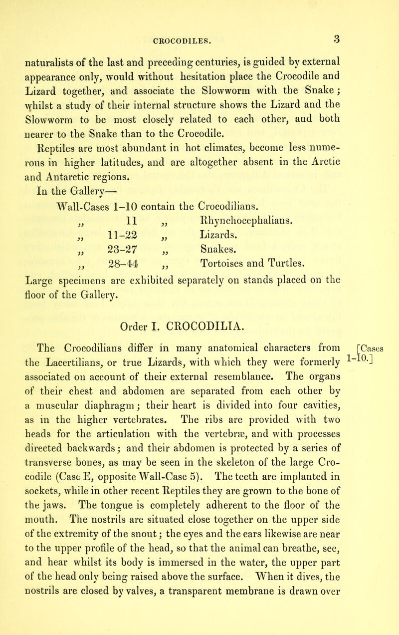 CROCODILES. naturalists of the last and preceding centuries, is guided by external appearance only, would without hesitation place the Crocodile and Lizard together, and associate the Slowworm with the Snake ; whilst a study of their internal structure shows the Lizard and the Slowworm to be most closely related to each other, and both nearer to the Snake than to the Crocodile. Reptiles are most abundant in hot climates, become less nume- rous in higher latitudes, and are altogether absent in the Arctic and Antarctic regions. In the Gallery— Wall-Cases 1-10 contain the Crocodilians. 11 }} Rhynchocephalians. }} 11-22 )} Lizards. }) 23-27 }> Snakes. }} 28-44 >} Tortoises and Turtles. Large specimens are exhibited separately on stands placed on the door of the Gallery. Order I. CROCODILIA. The Crocodilians differ in many anatomical characters from the Lacertilians, or true Lizards, with which they were formerly ^ associated on account of their external resemblance. The organs of their chest and abdomen are separated from each other by a muscular diaphragm; their heart is divided into four cavities, as in the higher vertebrates. The ribs are provided with two heads for the articulation with the vertebrae, and with processes directed backwards; and their abdomen is proteeted by a series of transverse bones, as may be seen in the skeleton of the large Cro- codile (CasfcE, opposite Wall-Case 5). The teeth are implanted in sockets, while in other recent Reptiles they are grown to the bone of the jaws. The tongue is completely adherent to the floor of the mouth. The nostrils are situated close together on the upper side of the extremity of the snout; the eyes and the ears likewise are near to the upper profile of the head, so that the animal can breathe, see, and hear whilst its body is immersed in the water, the upper part of the head only being raised above the surface. When it dives, the nostrils are closed by valves, a transparent membrane is drawn over [Cases -10.]