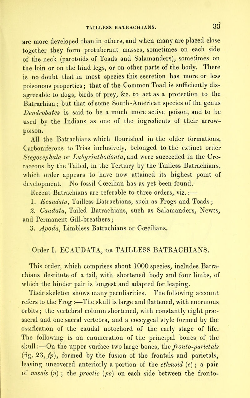 are more developed than in others, and when many are placed close together they form protuberant masses, sometimes on each side of the neck (parotoids of Toads and Salamanders), sometimes on the loin or on the hind legs, or on other parts of the body. There is no doubt that in most species this secretion has more or less poisonous properties; that of the Common Toad is sufficiently dis- agreeable to dogs, birds of prey, &c. to act as a protection to the Eatrachian; but that of some South-Anierican species of the genus Dendrohates is said to be a much more active poison, and to be used by the Indians as one of the ingredients of their arrow- poison. All the Batrachians which flourished in the older formations. Carboniferous to Trias inclusively, belonged to the extinct order Steyocephala or Labyrinthodonta, and were succeeded in the Cre- taceous by the Tailed, in the Tertiary by the Tailless Batrachians, which order appears to have now attained its highest point of development. No fossil Coscilian has as yet been found. Recent Batrachians are referable to three orders, viz.:— 1. Ecaudata, Tailless Batrachians, such as Frogs and Toads; 2. Caudata, Tailed Batrachians, such as Salamanders, Newts, and Permanent Gill-breathers; 3. Apoda, Limbless Batrachians or Coscilians. Order I. ECAUDATA, or TAILLESS BATRACHIANS. This order, which comprises about 1000 species, includes Batra- chians destitute of a tail, with shortened body and four limbs, of which the hinder pair is longest and adapted for leaping. Their skeleton shows many peculiarities. The following account refers to the Frog :—The skull is large and flattened, with enormous orbits; the vertebral column shortened, with constantly eight prae- sacral and one sacral vertebra, and a coccygeal style formed by the ossification of the caudal notochord of the early stage of life. The following is an enumeration of the principal bones of the skull:—On the upper surface two large bones, the front o-parietals (fig. 23, fp), formed by the fusion of the frontals and parietals, leaving uncovered anteriorly a portion of the ethmmd (e); a pair of nasals [n) ; the prootic [po] on each side between the fronto-