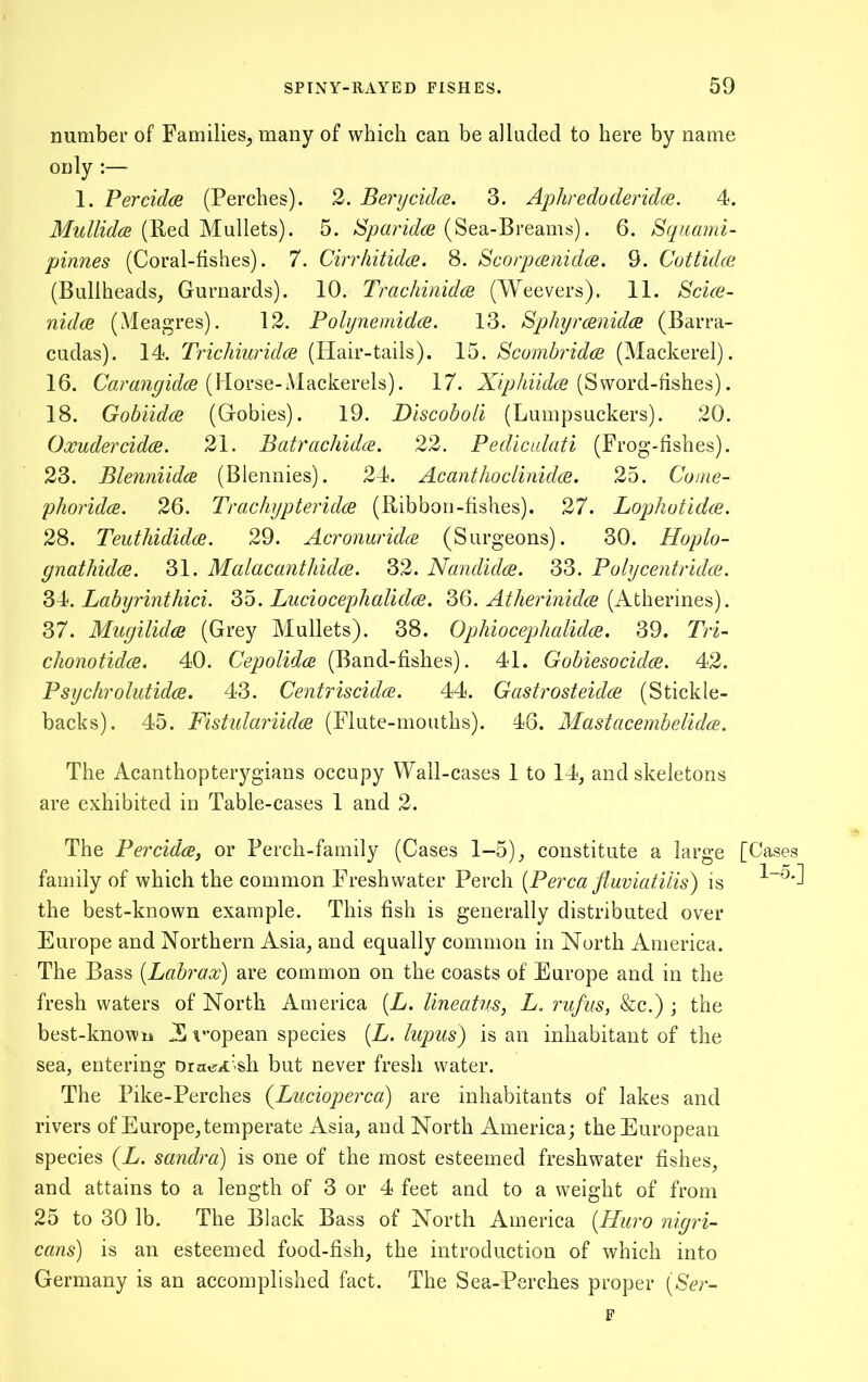 number of Families^ many of which can be alluded to here by name only :— 1. Percidm (Perches). 2. Berycidce. 3. Ai^hredoderidce. 4. (Red Mullets). 5. (Sea-Breams). 6. Squaml- pinnes (Coral-fishes). 7. CirrhitidcB. 8. Scorpmiidce. 9. Cottidce (Bullheads, Gurnards). 10. Trachinidce (Weevers). 11. Scice- nid(2 (Meagres). 12. Pohjnemida. 13. BpliyrmiidcB (Barra- cudas). 14. Trichiurid(B (Hair-tails). 15. ScombridcB (Mackerel). 16. (Horse-Mackerels). 17. (Sword-fishes). 18. Gobiid(B (Gobies). 19. Discoboli (Lumpsuckers). 20. Oxudercidce. 21. Baty'cichidce. 22. Pediculati (Frog-fishes). 23. Blenniidce (Blemiies). 24. Acanthoclinidce. 25. Coine- phoridcB. 26. TrachypterulcB (Ribbon-fishes). 27. Lophotuke. 28. Teuthididce. 29. AcronuridcB (Surgeons). 30. Hoplo- gnatliidcB. 31. MalacanthidcE. 32. Nandidce. 33. Polycentridce. Labyrinthici. Luciocephalidce. AtherinidcE (Atherines). 37. Mugilidce (Grey Mullets). 38. OphioceplialidcB, 39. Tri~ chonotidce. 40. Cepolidcc (Band-fishes). 41. Gobiesocidcc. 42. Psyclirolutidce. 43. Centriscidce. 44. GastrosteidcB (Stickle- backs). 45. Fistulariid(B (Flute-mouths). 46. Mastacembelidce. The Acanthopterygians occupy Wall-cases 1 to 14, and skeletons are exhibited in Table-cases 1 and 2. The Percidce, or Perch-family (Cases 1-5), constitute a large [Cases family of which the common Freshwater Perch (Perea fluviatilis) is the best-known example. This fish is generally distributed over Europe and Northern Asia, and equally common in North America. The Bass (Labrax) are common on the coasts of Europe and in the fresh waters of North America (L. lineatus, L. rufiis, &c.) j the best-known JCi^opean species (L. lupus) is an inhabitant of the sea, entering Drai?A'<sh but never fresh water. The Pike-Perches {Lucioperca) are inhabitants of lakes and rivers of Europe, temperate Asia, and North America; the European species {L. sandra) is one of the most esteemed freshwater fishes, and attains to a length of 3 or 4 feet and to a weight of from 25 to 30 lb. The Black Bass of North America (Huro nigri- cans) is an esteemed food-fish, the introduction of which into Germany is an accomplished fact. The Sea-Perches proper (S'er- F