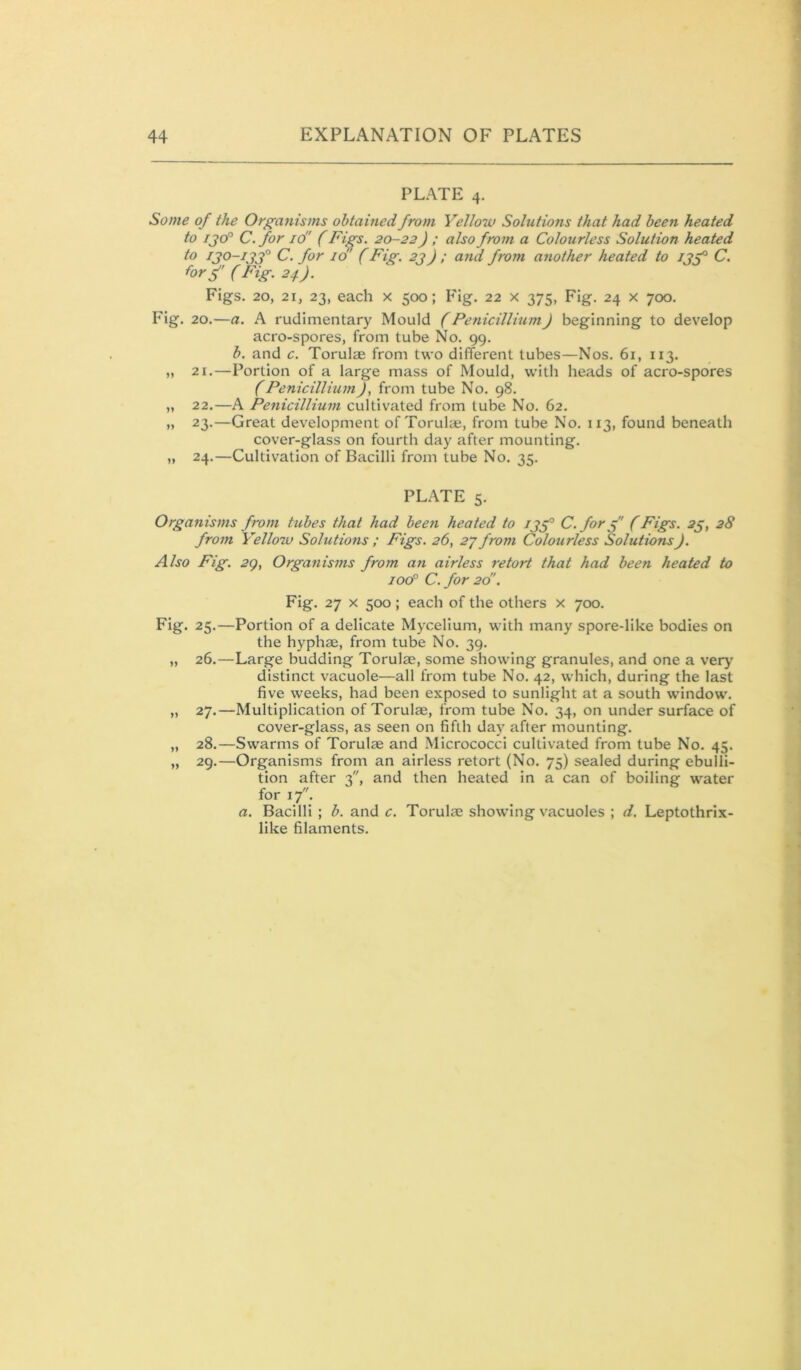 PLATE 4. Some of the Organisms obtained from Yellow Solutions that had been heated to /jo° C. for id' (Figs. 20-22) ; also from a Colourless Solution heated to ijo-ijf' C. for id' (Fig. 2j) ; and from another heated to I7<° C. forf (Fig. 24.). Figs. 20, 21, 23, each x 500; Fig. 22 x 375, Fig. 24 x 700. Fig. 20.—a. A rudimentary Mould (PenicilliumJ beginning to develop acro-spores, from tube No. 99. b. and c. Torulae from two different tubes—Nos. 61, 113. „ 21.—Portion of a large mass of Mould, with heads of acro-spores Penicillium), from tube No. 98. „ 22.—A Penicillium cultivated from tube No. 62. „ 23.—Great development of Torulae, from tube No. 113, found beneath cover-glass on fourth day after mounting. „ 24.—Cultivation of Bacilli from tube No. 35. PLATE 5. Organisms from tubes that had been heated to C.forf (Figs. 2^, 28 from Yellow Solutions ; Figs. 26, 2^ from Colourless Solutions). Also Fig. 2Q, Organisms from an airless retort that had been heated to 100° C. for 2d'. Fig. 27 X 500; each of the others x 700. Fig. 25.—Portion of a delicate Mycelium, with many spore-like bodies on the hyphae, from tube No. 39. „ 26.—Large budding Torulae, some showing granules, and one a very' distinct vacuole—all from tube No. 42, which, during the last five weeks, had been exposed to sunlight at a south window. „ 27.—Multiplication of Torulffi, from tube No. 34, on under surface of cover-glass, as seen on fifth day after mounting. „ 28.—Swarms of Torulae and Micrococci cultivated from tube No. 45. „ 29.—Organisms from an airless retort (No. 75) sealed during ebulli- tion after 3, and then heated in a can of boiling water for 17. a. Bacilli ; b. and c. Torulae showing vacuoles ; d. Leptothrix- like filaments.
