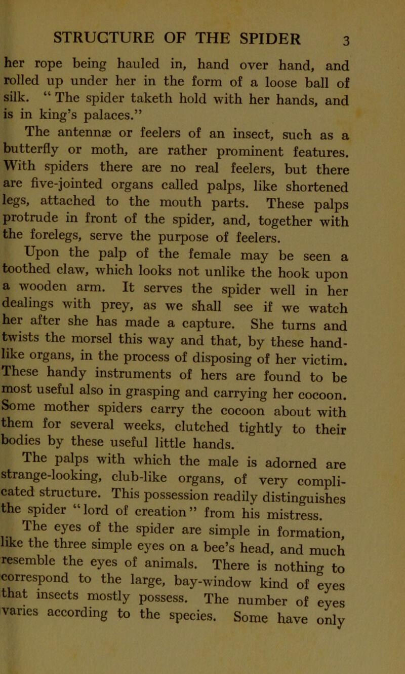 her rope being hauled in, hand over hand, and rolled up under her in the form of a loose ball of silk. “ The spider taketh hold with her hands, and is in king’s palaces.” The antennae or feelers of an insect, such as a butterfly or moth, are rather prominent features. With spiders there are no real feelers, but there are five-jointed organs called palps, like shortened legs, attached to the mouth parts. These palps protrude in front of the spider, and, together with the forelegs, serve the purpose of feelers. Upon the palp of the female may be seen a toothed claw, which looks not unlike the hook upon a wooden arm. It serves the spider well in her dealings with prey, as we shall see if we watch her after she has made a capture. She turns and twists the morsel this way and that, by these hand- like organs, in the process of disposing of her victim. These handy instruments of hers are found to be most useful also in grasping and carrying her cocoon. Some mother spiders carry the cocoon about with them for several weeks, clutched tightly to their bodies by these useful little hands. The palps with which the male is adorned are strange-looking, club-like organs, of very compli- cated structure. This possession readily distinguishes the spider “lord of creation” from his mistress. The eyes of the spider are simple in formation, like the three simple eyes on a bee’s head, and much resemble the eyes of animals. There is nothing to correspond to the large, bay-window kind of eyes that insects mostly possess. The number of eyes varies according to the species. Some have only