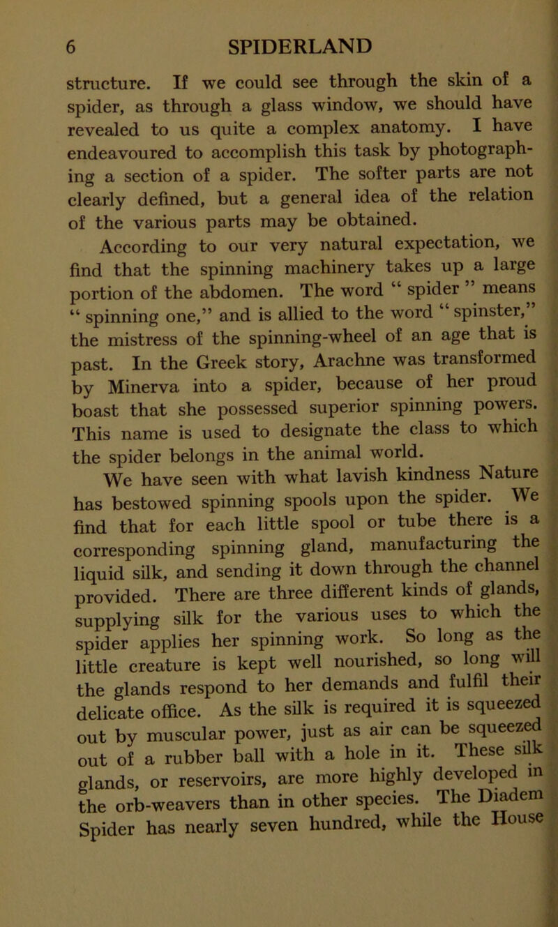 structure. If we could see through the skin of a spider, as through a glass window, we should have revealed to us quite a complex anatomy. I have endeavoured to accomplish this task by photograph- ing a section of a spider. The softer parts are not clearly defined, but a general idea of the relation of the various parts may be obtained. According to our very natural expectation, we find that the spinning machinery takes up a large portion of the abdomen. The word “ spider means “ spinning one,” and is allied to the word spinster, the mistress of the spinning-wheel of an age that is past. In the Greek story, Arachne was transformed by Minerva into a spider, because of her proud boast that she possessed superior spinning powers. This name is used to designate the class to which the spider belongs in the animal world. We have seen with what lavish kindness Nature has bestowed spinning spools upon the spider. We find that for each little spool or tube there is a corresponding spinning gland, manufacturing the liquid silk, and sending it down through the channel provided. There are three different kinds of glands, supplying silk for the various uses to which the spider applies her spinning work. So long as the little creature is kept well nourished, so long will the glands respond to her demands and fulfil their delicate office. As the silk is required it is squeezed out by muscular power, just as air can be squeeze out of a rubber ball with a hole in it. These silk glands, or reservoirs, are more highly developed in the orb-weavers than in other species. The Diadem Spider has nearly seven hundred, while the House