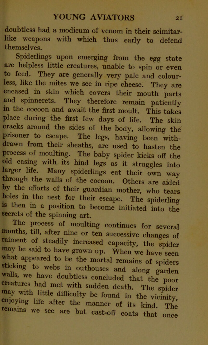 doubtless had a modicum of venom in their scimitar- like weapons with which thus early to defend themselves. Spiderlings upon emerging from the egg state are helpless little creatures, unable to spin or even to feed. They are generally very pale and colour- less, like the mites we see in ripe cheese. They are encased in skin which covers their mouth parts and spinnerets. They therefore remain patiently in the cocoon and await the first moult. This takes place during the first few days of life. The skin cracks around the sides of the body, allowing the prisoner to escape. The legs, having been with- drawn from their sheaths, are used to hasten the process of moulting. The baby spider kicks off the old casing with its hind legs as it struggles into larger life. Many spiderlings eat their own way through the walls of the cocoon. Others are aided by the efforts of their guardian mother, who tears holes in the nest for their escape. The spiderling is then in a position to become initiated into the secrets of the spinning art. The process of moulting continues for several months, till, after nine or ten successive changes of raiment of steadily increased capacity, the spider may be said to have grown up. When we have seen what appeared to be the mortal remains of spiders sticking to webs in outhouses and along garden walls, we have doubtless concluded that the poor creatures had met with sudden death. The spider may with little difficulty be found in the vicinitv enjoymg hfe after the manner of ^ kind ^ remains we see are but cast-off coats that once