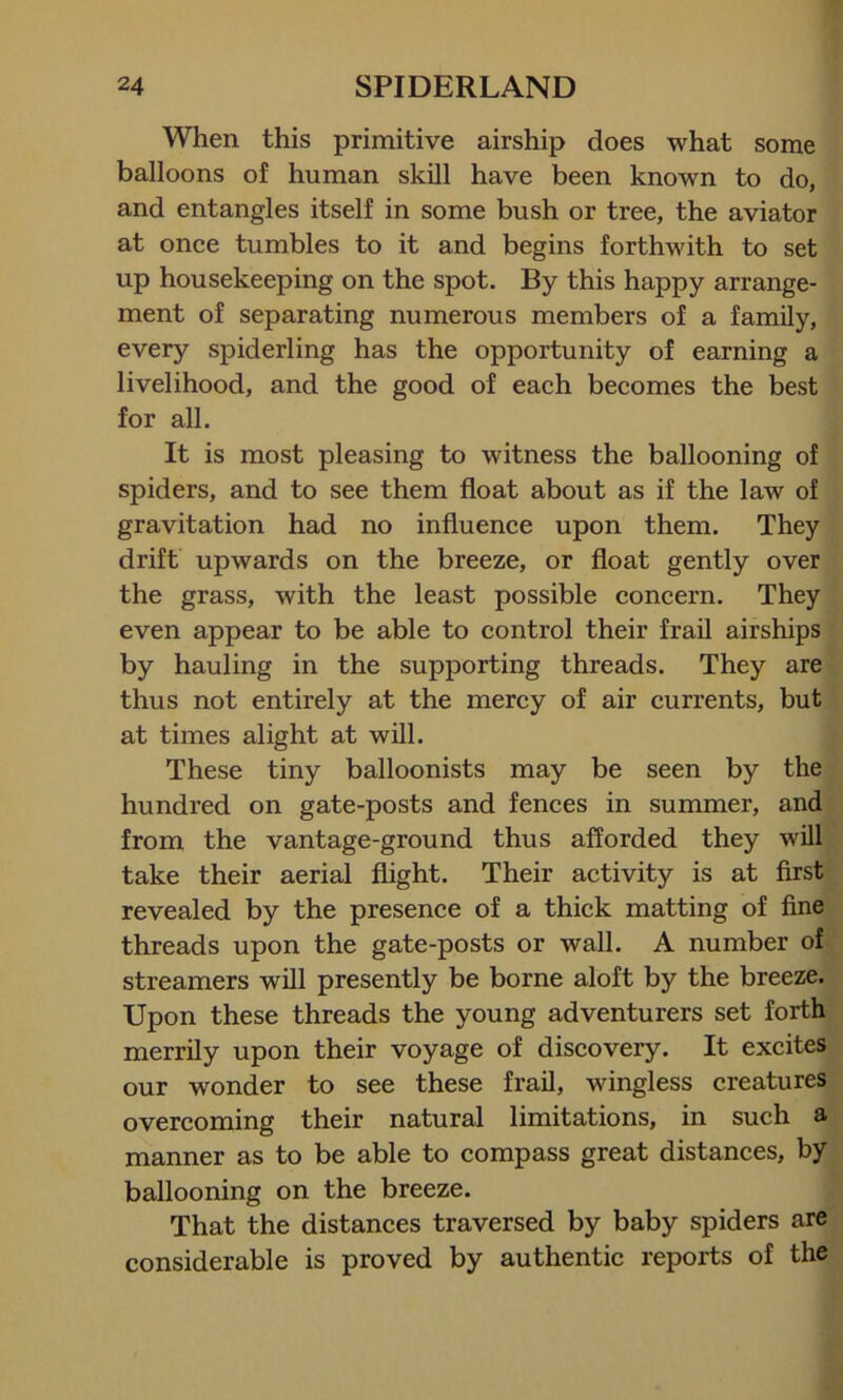 When this primitive airship does what some balloons of human skill have been known to do, and entangles itself in some bush or tree, the aviator at once tumbles to it and begins forthwith to set up housekeeping on the spot. By this happy arrange- ment of separating numerous members of a family, every spiderling has the opportunity of earning a livelihood, and the good of each becomes the best for all. It is most pleasing to witness the ballooning of spiders, and to see them float about as if the law of gravitation had no influence upon them. They drift upwards on the breeze, or float gently over the grass, with the least possible concern. They even appear to be able to control their frail airships by hauling in the supporting threads. They are thus not entirely at the mercy of air currents, but at times alight at will. These tiny balloonists may be seen by the hundred on gate-posts and fences in summer, and from the vantage-ground thus afforded they will take their aerial flight. Their activity is at first revealed by the presence of a thick matting of fine threads upon the gate-posts or wall. A number of streamers will presently be borne aloft by the breeze. Upon these threads the young adventurers set forth merrily upon their voyage of discovery. It excites our wonder to see these frail, wingless creatures overcoming their natural limitations, in such a manner as to be able to compass great distances, by ballooning on the breeze. That the distances traversed by baby spiders are considerable is proved by authentic reports of the