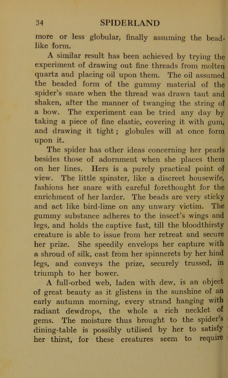 more or less globular, finally assuming the bead- like form. A similar result has been achieved by trying the experiment of drawing out fine threads from molten quartz and placing oil upon them. The oil assumed the beaded form of the gummy material of the spider’s snare when the thread was drawn taut and shaken, after the manner of twanging the string of a bow. The experiment can be tried any day by taking a piece of fine elastic, covering it with gum, and drawing it tight; globules will at once form upon it. The spider has other ideas concerning her pearls besides those of adornment when she places them on her lines. Hers is a purely practical point of view. The little spinster, like a discreet housewife, fashions her snare with careful forethought for the enrichment of her larder. The beads are very sticky and act like bird-lime on any unwary victim. The gummy substance adheres to the insect’s wings and legs, and holds the captive fast, till the bloodthirsty creature is able to issue from her retreat and secure her prize. She speedily envelops her capture with a shroud of silk, cast from her spinnerets by her hind legs, and conveys the prize, securely trussed, in triumph to her bower. A full-orbed web, laden with dew, is an object of great beauty as it glistens in the sunshine of an early autumn morning, every strand hanging with radiant dewdrops, the whole a rich necklet of gems. The moisture thus brought to the spider’s dining-table is possibly utilised by her to satisfy her thirst, for these creatures seem to require