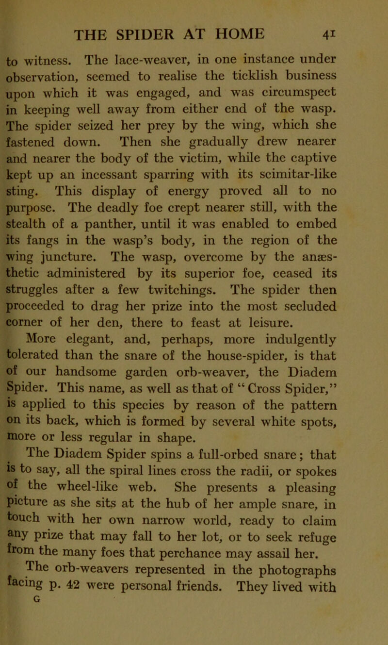to witness. The lace-weaver, in one instance under observation, seemed to realise the ticklish business upon which it was engaged, and was circumspect in keeping well away from either end of the wasp. The spider seized her prey by the wing, which she fastened down. Then she gradually drew nearer and nearer the body of the victim, while the captive kept up an incessant sparring with its scimitar-like sting. This display of energy proved all to no purpose. The deadly foe crept nearer still, with the stealth of a panther, until it was enabled to embed its fangs in the wasp’s body, in the region of the wing juncture. The wasp, overcome by the anaes- thetic administered by its superior foe, ceased its struggles after a few twitchings. The spider then proceeded to drag her prize into the most secluded corner of her den, there to feast at leisure. More elegant, and, perhaps, more indulgently tolerated than the snare of the house-spider, is that of our handsome garden orb-weaver, the Diadem Spider. This name, as well as that of “ Cross Spider,” is applied to this species by reason of the pattern on its back, which is formed by several white spots, more or less regular in shape. The Diadem Spider spins a full-orbed snare; that is to say, all the spiral lines cross the radii, or spokes of the wheel-like web. She presents a pleasing picture as she sits at the hub of her ample snare, in touch with her own narrow world, ready to claim any prize that may fall to her lot, or to seek refuge from the many foes that perchance may assail her. The orb-weavers represented in the photographs facing p. 42 were personal friends. They lived with G