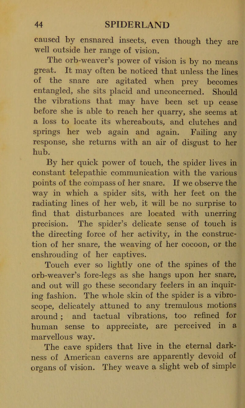 caused by ensnared insects, even though they are well outside her range of vision. The orb-weaver’s power of vision is by no means great. It may often be noticed that unless the lines of the snare are agitated when prey becomes entangled, she sits placid and unconcerned. Should the vibrations that may have been set up cease before she is able to reach her quarry, she seems at a loss to locate its whereabouts, and clutches and springs her web again and again. Failing any response, she returns with an air of disgust to her hub. By her quick power of touch, the spider lives in constant telepathic communication with the various points of the compass of her snare. If we observe the way in which a spider sits, with her feet on the radiating lines of her web, it will be no surprise to find that disturbances are located with unerring precision. The spider’s delicate sense of touch is the directing force of her activity, in the construc- tion of her snare, the weaving of her cocoon, or the enshrouding of her captives. Touch ever so lightly one of the spines of the orb-weaver’s fore-legs as she hangs upon her snare, and out will go these secondary feelers in an inquir- ing fashion. The whole skin of the spider is a vibro- scope, delicately attuned to any tremulous motions around; and tactual vibrations, too refined for human sense to appreciate, are perceived in a marvellous way. The cave spiders that live in the eternal dark- ness of American caverns are apparently devoid of organs of vision. They weave a slight web of simple