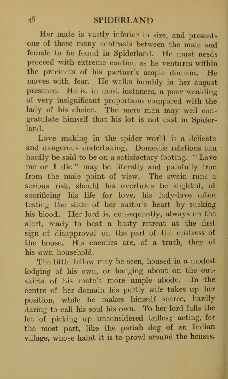 Her mate is vastly inferior in size, and presents one of those many contrasts between the male and female to be found in Spiderland. He must needs proceed with extreme caution as he ventures within the precincts of his partner’s ample domain. He moves with fear. He walks humbly in her august presence. He is, in most instances, a poor weakling of very insignificant proportions compared with the lady of his choice. The mere man may well con- gratulate himself that his lot is not cast in Spider- land. Love making in the spider world is a delicate and dangerous undertaking. Domestic relations can hardly be said to be on a satisfactory footing. “ Love me or I die ” may be literally and painfully true from the male point of view. The swain runs a serious risk, should his overtures be slighted, of sacrificing his life for love, his lady-love often testing the state of her suitor’s heart by sucking his blood. Her lord is, consequently, always on the alert, ready to beat a hasty retreat at the first sign of disapproval on the part of the mistress of the house. His enemies are, of a truth, they of his own household. The little fellow may be seen, housed in a modest lodging of his own, or hanging about on the out- skirts of his mate’s more ample abode. In the centre of her domain his portly wife takes up her position, while he makes himself scarce, hardly daring to call his soul his own. To her lord falls the lot of picking up unconsidered trifles; acting, for the most part, like the pariah dog of an Indian village, whose habit it is to prowl around the houses,