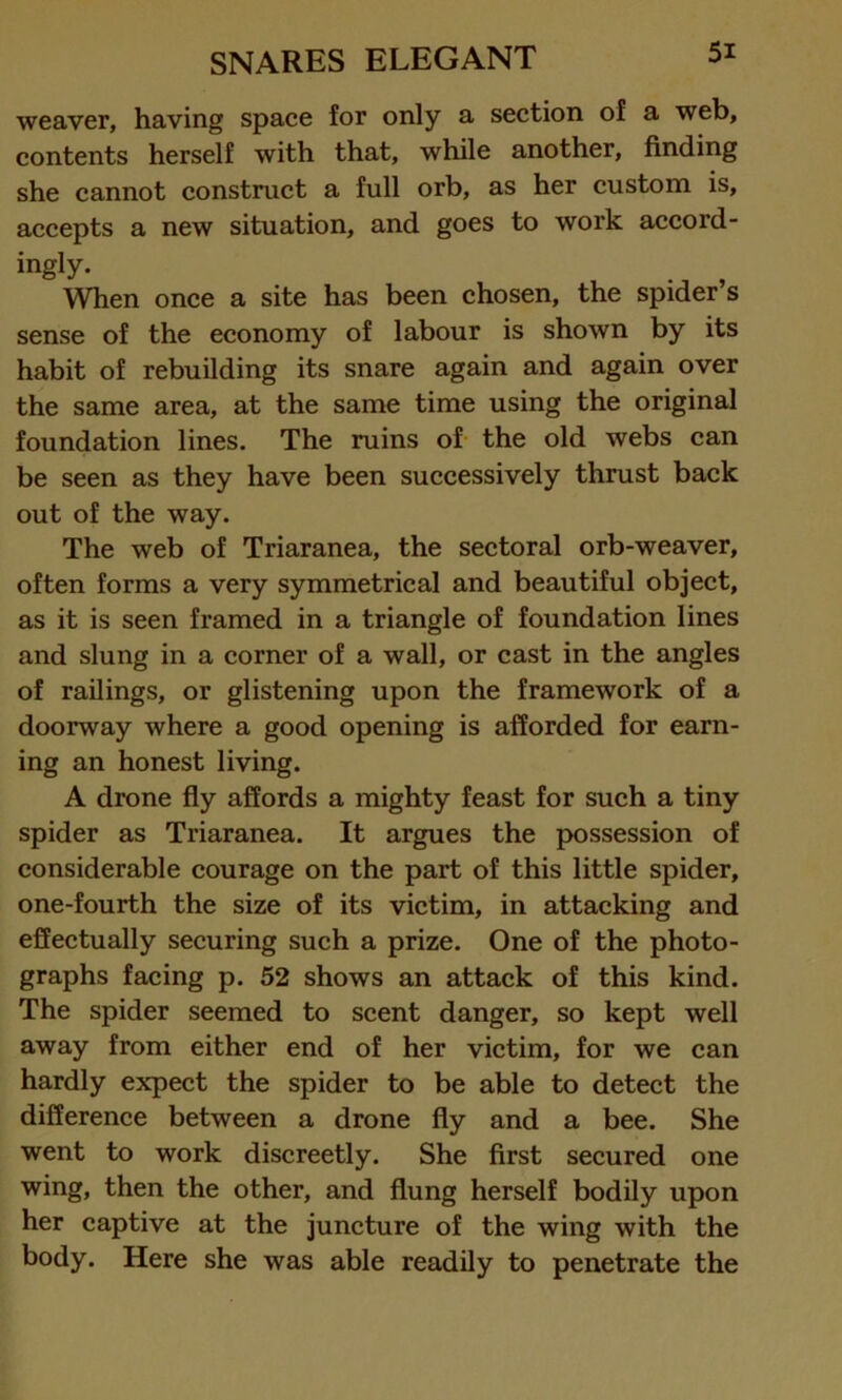 weaver, having space for only a section of a web, contents herself with that, while another, finding she cannot construct a full orb, as her custom is, accepts a new situation, and goes to work accord- ingly. When once a site has been chosen, the spider’s sense of the economy of labour is shown by its habit of rebuilding its snare again and again over the same area, at the same time using the original foundation lines. The ruins of the old webs can be seen as they have been successively thrust back out of the way. The web of Triaranea, the sectoral orb-weaver, often forms a very symmetrical and beautiful object, as it is seen framed in a triangle of foundation lines and slung in a corner of a wall, or cast in the angles of railings, or glistening upon the framework of a doorway where a good opening is afforded for earn- ing an honest living. A drone fly affords a mighty feast for such a tiny spider as Triaranea. It argues the possession of considerable courage on the part of this little spider, one-fourth the size of its victim, in attacking and effectually securing such a prize. One of the photo- graphs facing p. 52 shows an attack of this kind. The spider seemed to scent danger, so kept well away from either end of her victim, for we can hardly expect the spider to be able to detect the difference between a drone fly and a bee. She went to work discreetly. She first secured one wing, then the other, and flung herself bodily upon her captive at the juncture of the wing with the body. Here she was able readily to penetrate the
