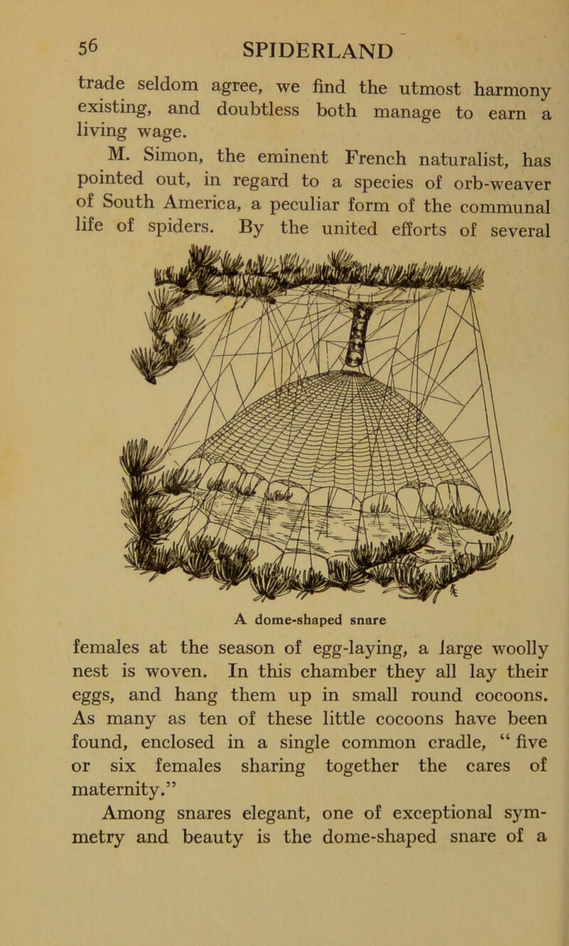 trade seldom agree, we find the utmost harmony existing, and doubtless both manage to earn a living wage. M. Simon, the eminent French naturalist, has pointed out, in regard to a species of orb-weaver of South America, a peculiar form of the communal life of spiders. By the united efforts of several A dome-shaped snare females at the season of egg-laying, a large woolly nest is woven. In this chamber they all lay their eggs, and hang them up in small round cocoons. As many as ten of these little cocoons have been found, enclosed in a single common cradle, “ five or six females sharing together the cares of maternity.” Among snares elegant, one of exceptional sym- metry and beauty is the dome-shaped snare of a