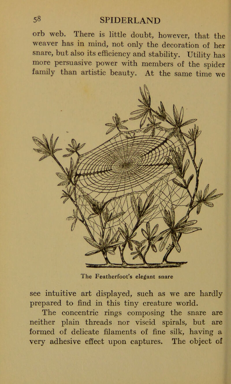 orb web. There is little doubt, however, that the weaver has in mind, not only the decoration of her snare, but also its efficiency and stability. Utility has more persuasive power with members of the spider family than artistic beauty. At the same time we The Featherfoot’s elegant snare see intuitive art displayed, such as we are hardly prepared to find in this tiny creature world. The concentric rings composing the snare are neither plain threads nor viscid spirals, but are formed of delicate filaments of fine silk, having a very adhesive effect upon captures. The object of