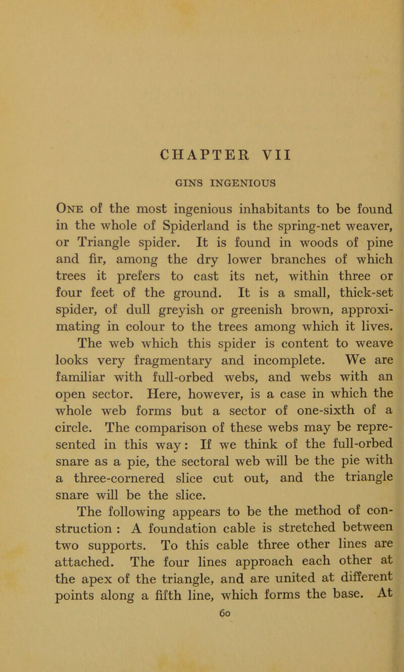 CHAPTER VII GINS INGENIOUS One of the most ingenious inhabitants to be found in the whole of Spiderland is the spring-net weaver, or Triangle spider. It is found in woods of pine and fir, among the dry lower branches of which trees it prefers to cast its net, within three or four feet of the ground. It is a small, thick-set spider, of dull greyish or greenish brown, approxi- mating in colour to the trees among which it lives. The web which this spider is content to weave looks very fragmentary and incomplete. We are familiar with full-orbed webs, and webs with an open sector. Here, however, is a case in which the whole web forms but a sector of one-sixth of a circle. The comparison of these webs may be repre- sented in this way: If we think of the full-orbed snare as a pie, the sectoral web will be the pie with a three-cornered slice cut out, and the triangle snare will be the slice. The following appears to be the method of con- struction : A foundation cable is stretched between two supports. To this cable three other lines are attached. The four lines approach each other at the apex of the triangle, and are united at different points along a fifth line, which forms the base. At