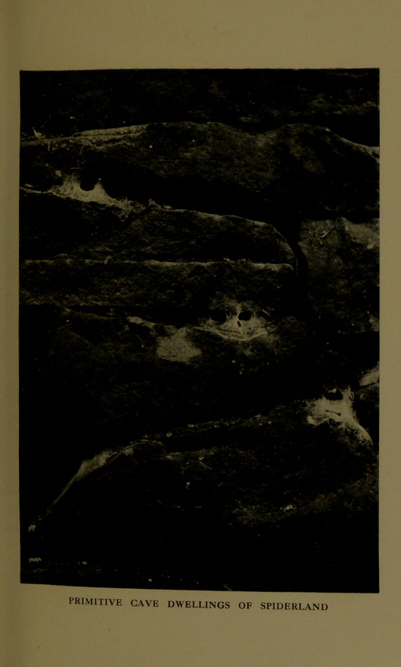 PRIMITIVE CAVE DWELLINGS OF SPIDERLAND