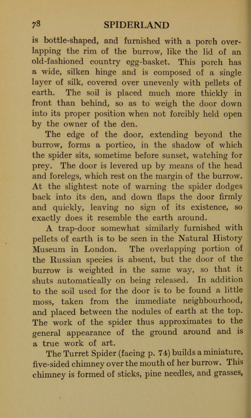 is bottle-shaped, and furnished with a porch over- lapping the rim of the burrow, like the lid of an old-fashioned country egg-basket. This porch has a wide, silken hinge and is composed of a single layer of silk, covered over unevenly with pellets of earth. The soil is placed much more thickly in front than behind, so as to weigh the door down into its proper position when not forcibly held open by the owner of the den. The edge of the door, extending beyond the burrow, forms a portico, in the shadow of which the spider sits, sometime before sunset, watching for prey. The door is levered up by means of the head and forelegs, which rest on the margin of the burrow. At the slightest note of warning the spider dodges back into its den, and down flaps the door firmly and quickly, leaving no sign of its existence, so exactly does it resemble the earth around. A trap-door somewhat similarly furnished with pellets of earth is to be seen in the Natural History Museum in London. The overlapping portion of the Russian species is absent, but the door of the burrow is weighted in the same way, so that it shuts automatically on being released. In addition to the soil used for the door is to be found a little moss, taken from the immediate neighbourhood, and placed between the nodules of earth at the top. The work of the spider thus approximates to the general appearance of the ground around and is a true work of art. The Turret Spider (facing p. 74) builds a miniature, five-sided chimney over the mouth of her burrow. This chimney is formed of sticks, pine needles, and grasses,