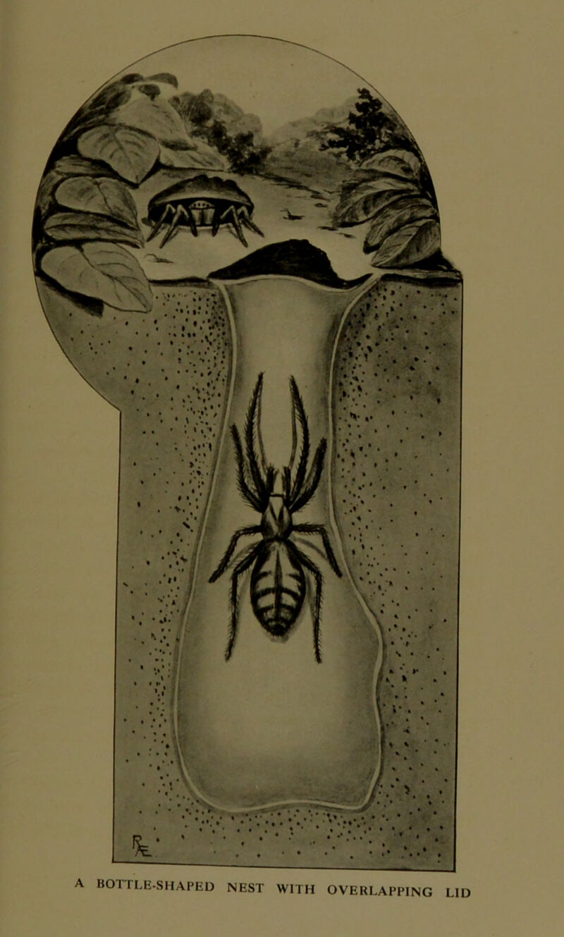 A BOTTLE-SHAPED NEST WITH OVERLAPPING LID