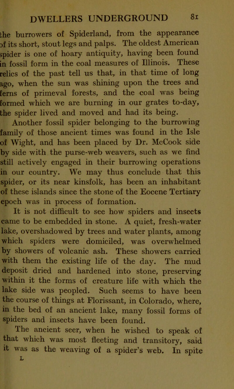 the burrowers of Spiderland, from the appearance af its short, stout legs and palps. The oldest American spider is one of hoary antiquity, having been found in fossil form in the coal measures of Illinois. These relics of the past tell us that, in that time of long ago, when the sun was shining upon the trees and ferns of primeval forests, and the coal was being formed which we are burning in our grates to-day, the spider lived and moved and had its being. Another fossil spider belonging to the burrowing family of those ancient times was found in the Isle of Wight, and has been placed by Dr. McCook side by side with the purse-web weavers, such as we find still actively engaged in their burrowing operations in our country. We may thus conclude that this spider, or its near kinsfolk, has been an inhabitant of these islands since the stone of the Eocene Tertiary epoch was in process of formation. It is not difficult to see how spiders and insects came to be embedded in stone. A quiet, fresh-water lake, overshadowed by trees and water plants, among which spiders were domiciled, was overwhelmed by showers of volcanic ash. These showers carried with them the existing life of the day. The mud deposit dried and hardened into stone, preserving within it the forms of creature life with which the lake side was peopled. Such seems to have been the course of things at Florissant, in Colorado, where, in the bed of an ancient lake, many fossil forms of spiders and insects have been found. The ancient seer, when he wished to speak of that which was most fleeting and transitory, said it was as the weaving of a spider’s web. In spite L
