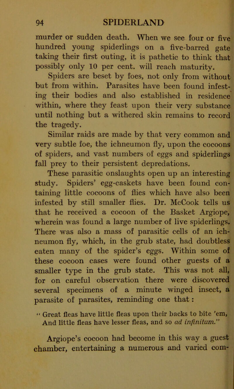 murder or sudden death. When we see four or five hundred young spiderlings on a five-barred gate taking their first outing, it is pathetic to think that possibly only 10 per cent, will reach maturity. Spiders are beset by foes, not only from without but from within. Parasites have been found infest- ing their bodies and also established in residence within, where they feast upon their very substance until nothing but a withered skin remains to record the tragedy. Similar raids are made by that very common and very subtle foe, the ichneumon fly, upon the cocoons of spiders, and vast numbers of eggs and spiderlings fall prey to their persistent depredations. These parasitic onslaughts open up an interesting study. Spiders’ egg-caskets have been found con- taining little cocoons of flies which have also been infested by still smaller flies. Dr. McCook tells us that he received a cocoon of the Basket Argiope, wherein was found a large number of live spiderlings. There was also a mass of parasitic cells of an ich- neumon fly, which, in the grub state, had doubtless eaten many of the spider’s eggs. Within some of these cocoon cases were found other guests of a smaller type in the grub state. This was not all, for on careful observation there were discovered several specimens of a minute winged insect, a parasite of parasites, reminding one that: “ Great fleas have little fleas upon their backs to bite ’em, And little fleas have lesser fleas, and so ad infinitum.” Argiope’s cocoon had become in this way a guest chamber, entertaining a numerous and varied com-