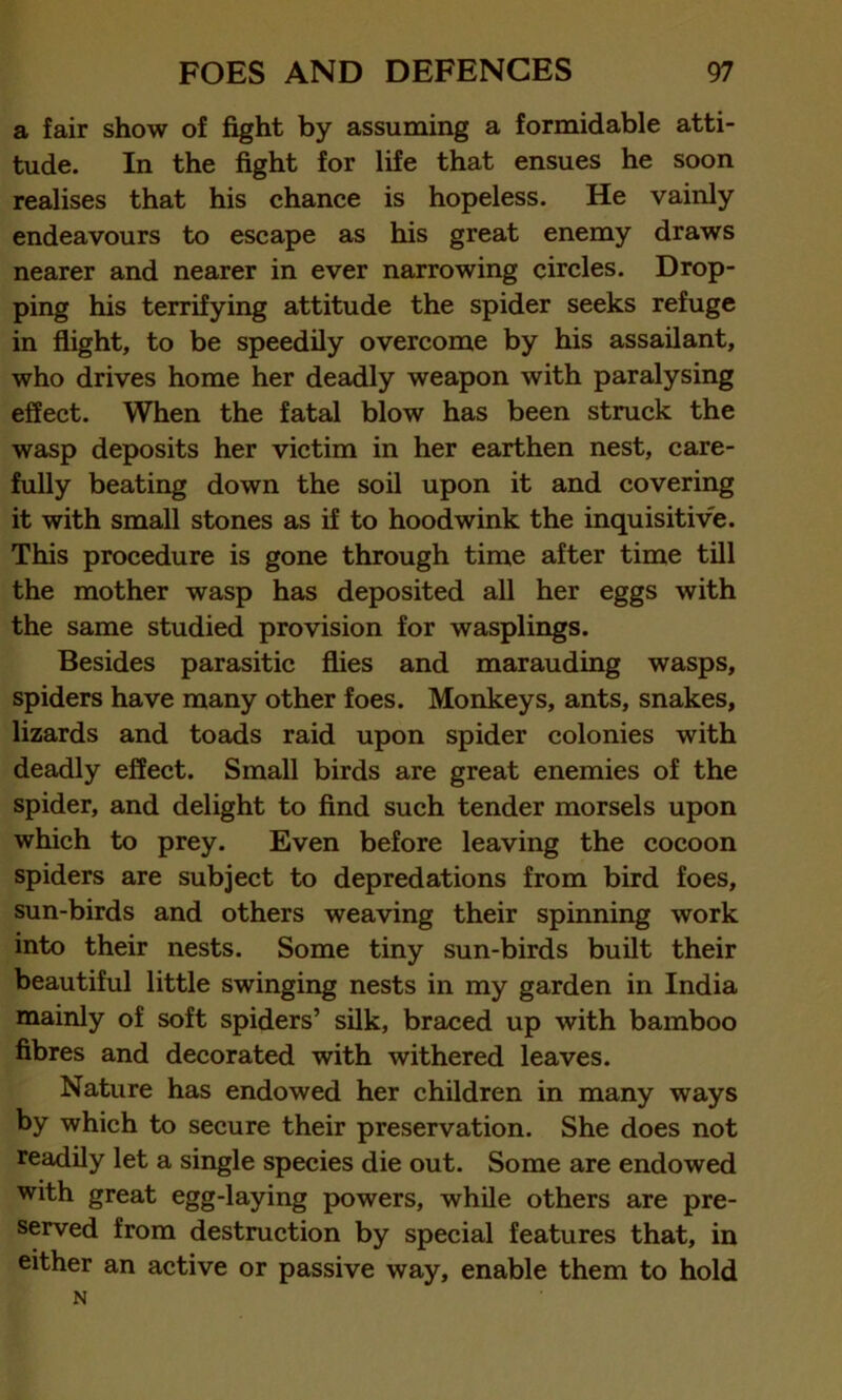 a fair show of fight by assuming a formidable atti- tude. In the fight for life that ensues he soon realises that his chance is hopeless. He vainly endeavours to escape as his great enemy draws nearer and nearer in ever narrowing circles. Drop- ping his terrifying attitude the spider seeks refuge in flight, to be speedily overcome by his assailant, who drives home her deadly weapon with paralysing effect. When the fatal blow has been struck the wasp deposits her victim in her earthen nest, care- fully beating down the soil upon it and covering it with small stones as if to hoodwink the inquisitive. This procedure is gone through time after time till the mother wasp has deposited all her eggs with the same studied provision for wasplings. Besides parasitic flies and marauding wasps, spiders have many other foes. Monkeys, ants, snakes, lizards and toads raid upon spider colonies with deadly effect. Small birds are great enemies of the spider, and delight to find such tender morsels upon which to prey. Even before leaving the cocoon spiders are subject to depredations from bird foes, sun-birds and others weaving their spinning work into their nests. Some tiny sun-birds built their beautiful little swinging nests in my garden in India mainly of soft spiders’ silk, braced up with bamboo fibres and decorated with withered leaves. Nature has endowed her children in many ways by which to secure their preservation. She does not readily let a single species die out. Some are endowed with great egg-laying powers, while others are pre- served from destruction by special features that, in either an active or passive way, enable them to hold N