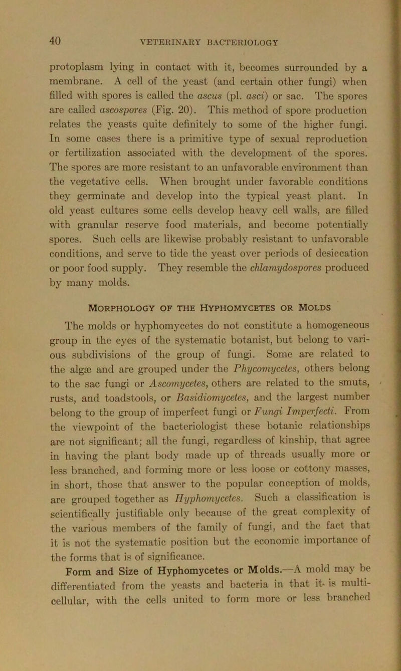 protoplasm lying in contact with it, becomes surrounded by a membrane. A cell of the yeast (and certain other fungi) when filled with spores is called the asms (pi. asci) or sac. The spores are called ascospores (Fig. 20). This method of spore production relates the yeasts quite definitely to some of the higher fungi. In some cases there is a primitive type of sexual reproduction or fertilization associated with the development of the spores. The spores are more resistant to an unfavorable environment than the vegetative cells. When brought under favorable conditions they germinate and develop into the typical yeast plant. In old yeast cultures some cells develop heavy cell walls, are filled with granular reserve food materials, and become potentially spores. Such cells are likewise probably resistant to unfavorable conditions, and serve to tide the yeast over periods of desiccation or poor food supply. They resemble the chlamydospores produced by many molds. Morphology of the Hyphomycetes or Molds The molds or hyphomycetes do not constitute a homogeneous group in the eyes of the systematic botanist, but belong to vari- ous subdivisions of the group of fungi. Some are related to the algte and are grouped under the Phycomycetes, others belong to the sac fungi or Ascomycetes, others are related to the smuts, rusts, and toadstools, or Basidiomycetes, and the largest number belong to the group of imperfect fungi or Fungi Impcrfedi. From the viewpoint of the bacteriologist these botanic relationships are not significant; all the fungi, regardless of kinship, that agree in having the plant body made up of threads usually more or less branched, and forming more or less loose or cottony masses, in short, those that answer to the popular conception of molds, are grouped together as Hyphomycetes. Such a classification is scientifically justifiable only because of the great complexity of the various members of the family of fungi, and the fact that it is not the systematic position but the economic importance of the forms that is of significance. Form and Size of Hyphomycetes or Molds.—A mold may be differentiated from the yeasts and bacteria in that it- is multi- cellular, with the cells united to form more or less branched