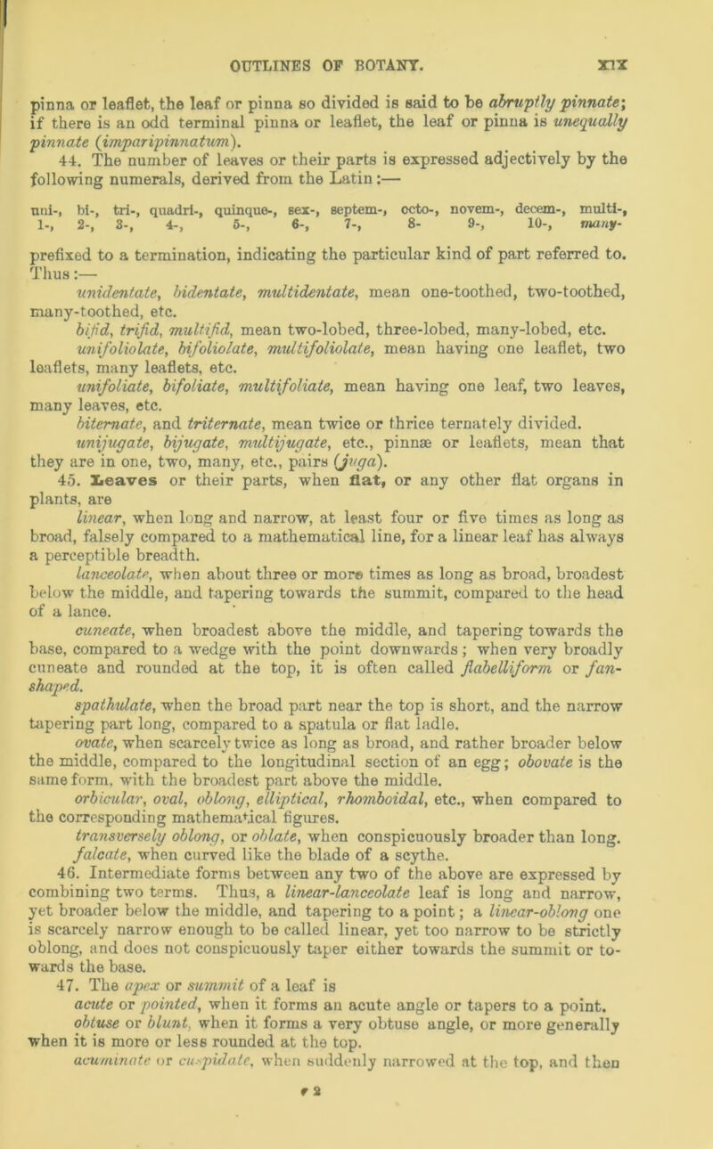 pinna or leaflet, the leaf or pinna so divided is said to be abruptly pinnate\ if there is an odd terminal pinna or leaflet, the leaf or pinna is unequally pinnate (imparipinnatum). 44. The number of leaves or their parts is expressed adjectively by the following numerals, derived from the Latin;— uni-, bi-, tri-, quadrl-, quinque-, sex-, aeptem-, octo-, novem-, decern-, multi-, 1-, 2-, 3-, 4-, 6-, 6-, 7-, 8- 9-, 10-, many- prefixed to a termination, indicating the particular kind of part referred to. Thus:— unidentate, hidentate, multidentate, mean one-toothed, two-toothed, many-toothed, etc. bifid, trifid, multifid, mean two-lobed, three-lobed, many-lobed, etc. unifoliolate, bifoliolate, multifoliolate, mean having one leaflet, two leaflets, many leaflets, etc. unifoliate, bifoliate, multifoliate, mean having one leaf, two leaves, many leaves, etc. hitematc, and triternate, mean twice or thrice ternately divided. unijugate, bijugate, midtijugate, etc., pinnae or leaflets, mean that they are in one, two, many, etc., pairs (J^tgd). 45. leaves or their parts, when flat, or any other flat organs in plants, are linear, when long and narrow, at least four or five times as long as broad, falsely compared to a mathematical line, for a linear leaf has always a perceptible breadth. lanceolate, when about three or more times as long as broad, broadest below the middle, and tapering towards the summit, compared to the head of a lance. cuneate, when broadest above the middle, and tapering towards the base, compared to a wedge with the point downwards ; when very broadly cuneate and rounded at the top, it is often called fiabeUiform or fan- shaped. spathUaie, when the broad part near the top is short, and the narrow tapering part long, compared to a spatula or flat ladle. ovcitc, when scarcely twice as long as broad, and rather broader below the middle, compared to the longitudinal section of an egg; obovate is the same form, with the broadest part above the middle. orbicular, oval, oblong, elliptical, rhomboidal, etc., when compared to the corresponding mathematical figures. transversely oblong, or oblate, when conspicuously broader than long. falcate, when curved like the blade of a scythe. 46. Intermediate forms between any two of the above are expressed by combining two terms. Thus, a linear-lanceolate leaf is long and narrow, yet broader below the middle, and tapering to a point; a linear-oblong one is scarcely narrow enough to be called linear, yet too narrow to be strictly oblong, and does not conspicuously tiiper either towards the summit or to- wards the base. 47. The apex or summit of a leaf is aaite or pointed, when it forms an acute angle or tapers to a point. obtuse or blunt, when it forms a very obtuse angle, or more generally when it is more or less rounded at the top. acuminate (jr cu-gtidate, when suddenly narrowed .at the top, and then
