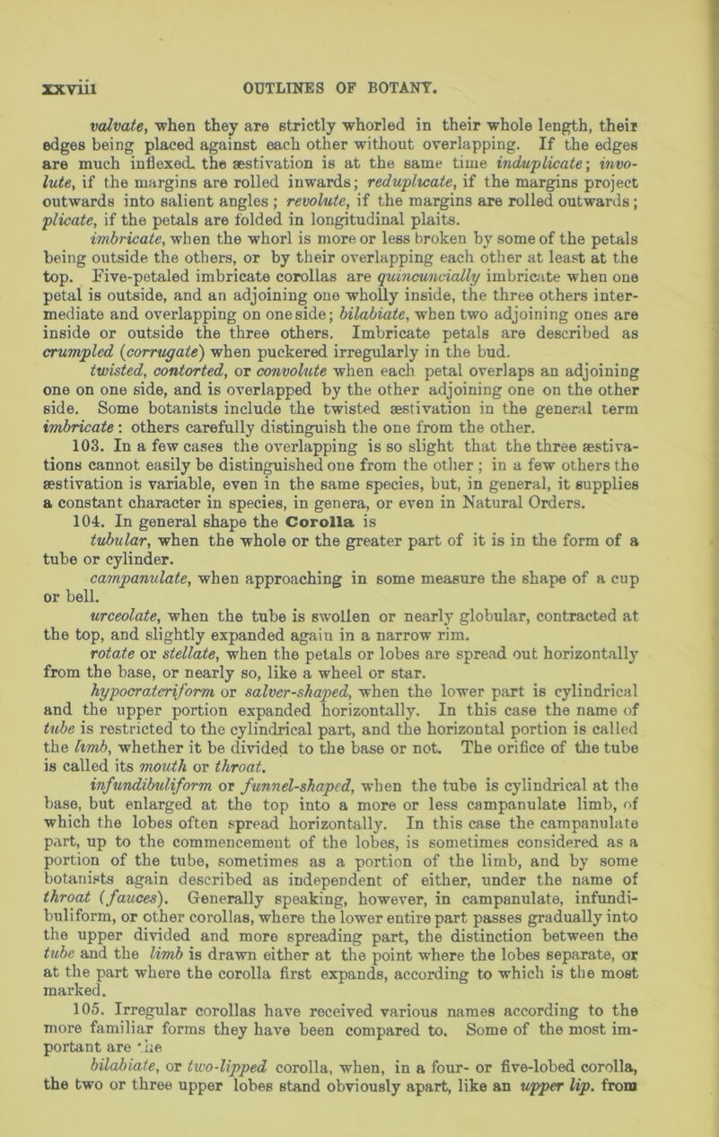 valvate, when they are strictly whorled in their whole length, their edges being placed against each other without overlapping. If the edges are much inflexecL the aestivation is at the same time induplicate; invo- lute, if the margins are rolled inwards; reduplicate, if the margins project outwards into salient angles ; revolute, if the margins are rolled outwards ; plicate, if the petals are folded in longitudinal plaits. imbricate, when the whorl is more or less broken by some of the petals being outside the others, or by their overlapping each other at least at the top. Five-petaled imbricate corollas are quincuncially imbriciite when one petal is outside, and an adjoining one wholly inside, the three others inter- mediate and overlapping on one side; bilabiate, when two adjoining ones are inside or outside the three others. Imbricate petals are described as crumpled (corrugate) when puckered irregularly in the bud. twisted, contorted, or convolute when each petal overlaps an adjoining one on one side, and is overlapped by the other adjoining one on the other side. Some botanists include the twisted aestivation in the general term imbricate; others carefully distinguish the one from the other. 103. In a few cases the overlapping is so slight that the three aestiva- tions cannot easily be distinguished one from the other ; in a few others the aestivation is variable, even in the same species, but, in general, it supplies a constant character in species, in genera, or even in Natural Orders. 104. In general shape the Corolla is tubular, when the whole or the greater part of it is in the form of a tube or cylinder. campanulate, when approaching in some measure the shape of a cup or bell. urceolate, when the tube is swollen or nearly globular, contracted at the top, and slightly expanded again in a narrow rim. rotate or stellate, when the petals or lobes are spread out horizontally from the base, or nearly so, like a wheel or star. hypocratcriform or salver-shaped, when the lower part is cylindrical and the upper portion expanded horizontally. In this case the name of tube is restricted to the cylindrical part, and the horizontal portion is called the hmh, whether it be divided to the base or not. The orifice of the tube is called its mouth or throat. infundibuliform or funnel-shaped, when the tube is cylindrical at the base, but enlarged at the top into a more or less campanulate limb, of which the lobes often spread horizontally. In this case the campanulate part, up to the commencement of the lobes, is sometimes considered as a portion of the tube, sometimes as a portion of the limb, and by some botanists again described as independent of either, under the name of throat (fauces). Generally speaking, however, in campanulate, infundi- briliform, or other corollas, where the lower entire part passes gradually into the upper divided and more spreading part, the distinction between the tube and the limb is drawn either at the point where the lobes separate, or at the part where the corolla first expands, according to which is the most marked. 105. Irregular corollas have received various names according to the more familiar forms they have been compared to. Some of the most im- portant are *iie bilabiate, or two-lipped corolla, when, in a four- or five-lobed corolla, the two or three upper lobes stand obviously apart, like an upper lip. from