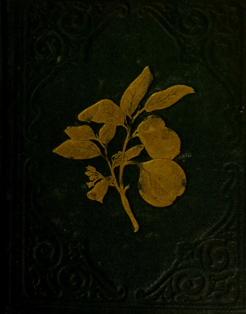 No text description is available for this image