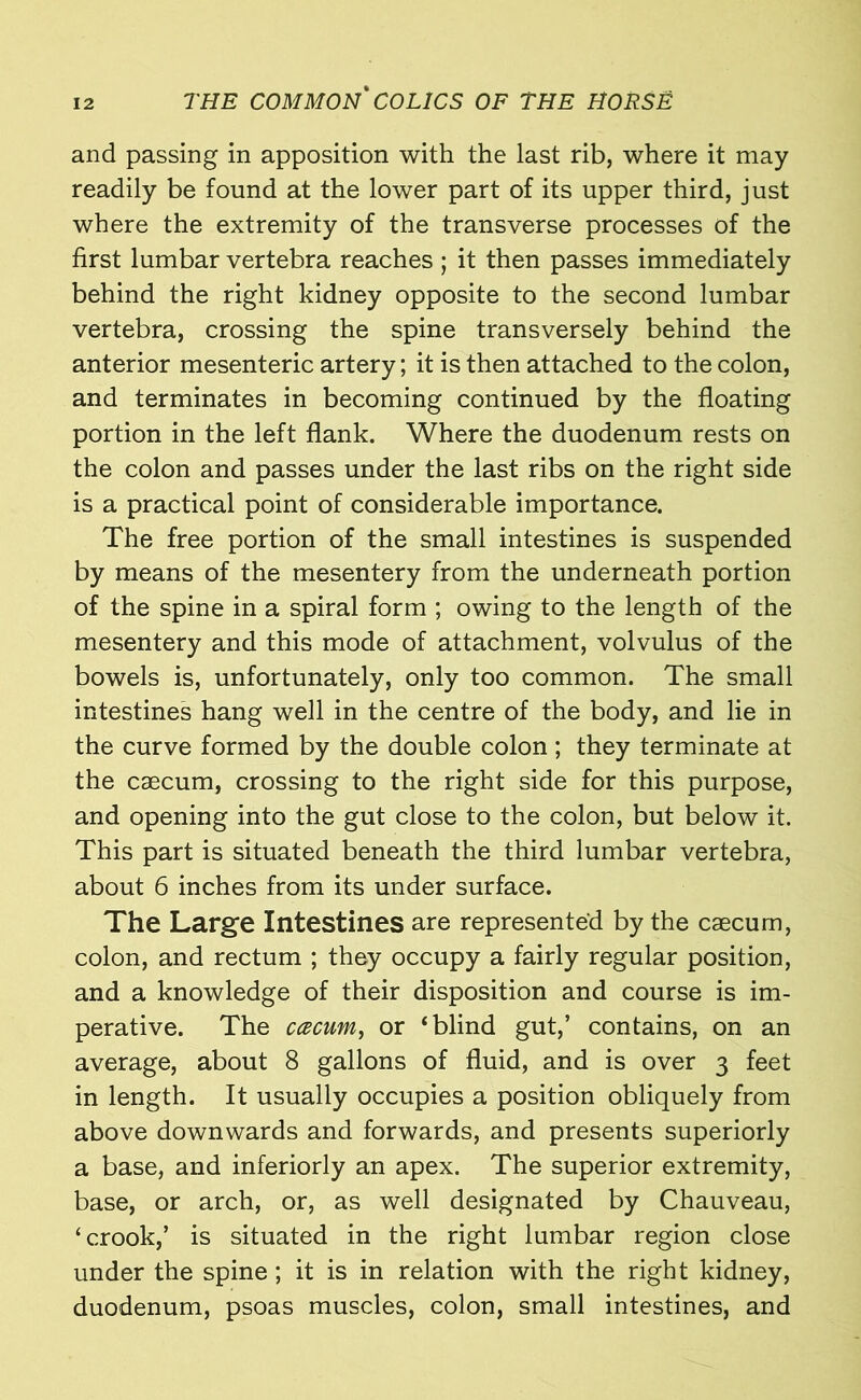 and passing in apposition with the last rib, where it may readily be found at the lower part of its upper third, just where the extremity of the transverse processes of the first lumbar vertebra reaches ; it then passes immediately behind the right kidney opposite to the second lumbar vertebra, crossing the spine transversely behind the anterior mesenteric artery; it is then attached to the colon, and terminates in becoming continued by the floating portion in the left flank. Where the duodenum rests on the colon and passes under the last ribs on the right side is a practical point of considerable importance. The free portion of the small intestines is suspended by means of the mesentery from the underneath portion of the spine in a spiral form ; owing to the length of the mesentery and this mode of attachment, volvulus of the bowels is, unfortunately, only too common. The small intestines hang well in the centre of the body, and lie in the curve formed by the double colon ; they terminate at the caecum, crossing to the right side for this purpose, and opening into the gut close to the colon, but below it. This part is situated beneath the third lumbar vertebra, about 6 inches from its under surface. The Large Intestines are represented by the caecum, colon, and rectum ; they occupy a fairly regular position, and a knowledge of their disposition and course is im- perative. The ccecum, or ‘blind gut,’ contains, on an average, about 8 gallons of fluid, and is over 3 feet in length. It usually occupies a position obliquely from above downwards and forwards, and presents superiorly a base, and inferiorly an apex. The superior extremity, base, or arch, or, as well designated by Chauveau, ‘crook,’ is situated in the right lumbar region close under the spine; it is in relation with the right kidney, duodenum, psoas muscles, colon, small intestines, and