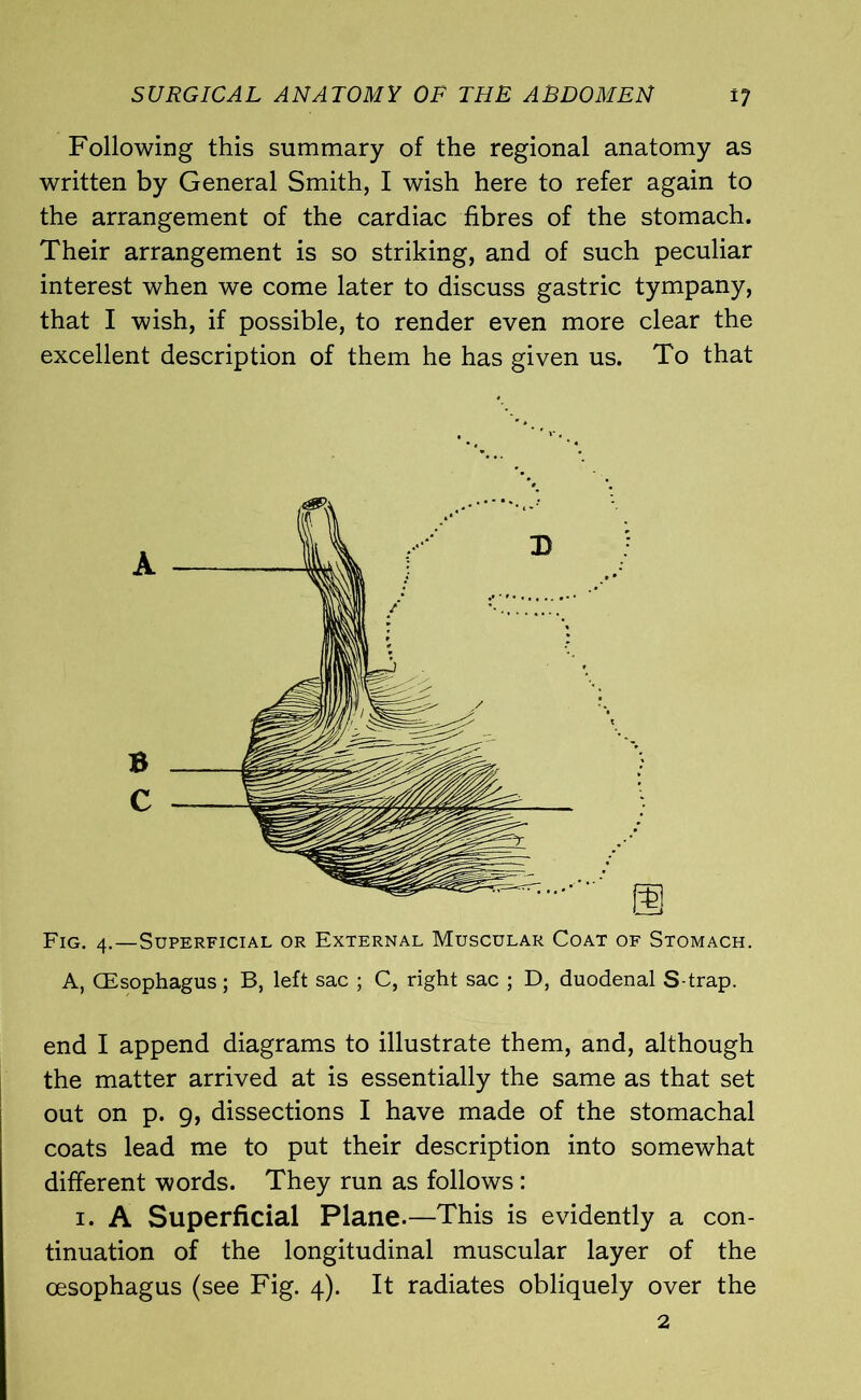 Following this summary of the regional anatomy as written by General Smith, I wish here to refer again to the arrangement of the cardiac fibres of the stomach. Their arrangement is so striking, and of such peculiar interest when we come later to discuss gastric tympany, that I wish, if possible, to render even more clear the excellent description of them he has given us. To that 11 Fig. 4.—Superficial or External Muscular Coat of Stomach. A, (Esophagus; B, left sac ; C, right sac ; D, duodenal S trap. end I append diagrams to illustrate them, and, although the matter arrived at is essentially the same as that set out on p. 9, dissections I have made of the stomachal coats lead me to put their description into somewhat different words. They run as follows: 1. A Superficial Plane.—This is evidently a con- tinuation of the longitudinal muscular layer of the oesophagus (see Fig. 4). It radiates obliquely over the 2