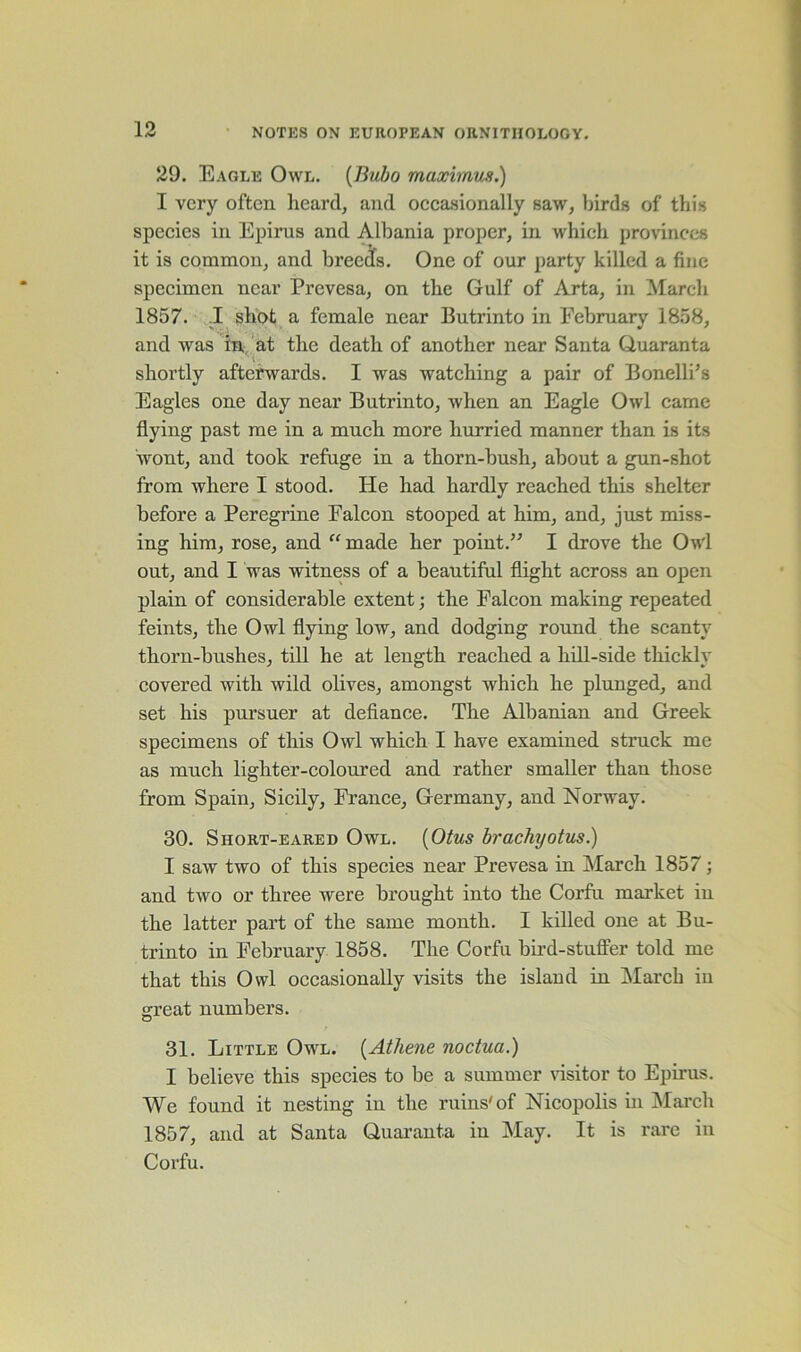 29. Eagle Owl. (Bubo maximus.) I very often heard, and occasionally saw, birds of this species in Epirus and Albania proper, in which provinces it is common, and breedfs. One of our party killed a fine specimen near Prevesa, on the Gulf of Arta, in March 1857. I shot a female near Butrinto in February 1858, and was in at the death of another near Santa Quaranta shortly afterwards. I was watching a pair of Bonelli's Eagles one day near Butrinto, when an Eagle Owl came flying past me in a much more hurried manner than is its wront, and took refuge in a thorn-bush, about a gun-shot from where I stood. He had hardly reached this shelter before a Peregrine Falcon stooped at him, and, just miss- ing him, rose, and “made her point.” I drove the Owl out, and I was witness of a beautiful flight across an open plain of considerable extent; the Falcon making repeated feints, the Owl flying low, and dodging round the scanty thorn-bushes, till he at length reached a hill-side thickly covered with wild olives, amongst which he plunged, and set his pursuer at defiance. The Albanian and Greek specimens of this Owl which I have examined struck me as much lighter-coloured and rather smaller than those from Spain, Sicily, France, Germany, and Norway. 30. Short-eared Owl. (Otus brachyotus.) I saw two of this species near Prevesa in March 1857; and two or three were brought into the Corfu market in the latter part of the same month. I killed one at Bu- trinto in February 1858. The Corfu bird-stuffer told me that this Owl occasionally visits the island in March in great numbers. 31. Little Owl. (Athene noctua.) I believe this species to be a summer visitor to Epirus. We found it nesting in the ruins'of Nicopolis in March 1857, and at Santa Quaranta in May. It is rare in Corfu.