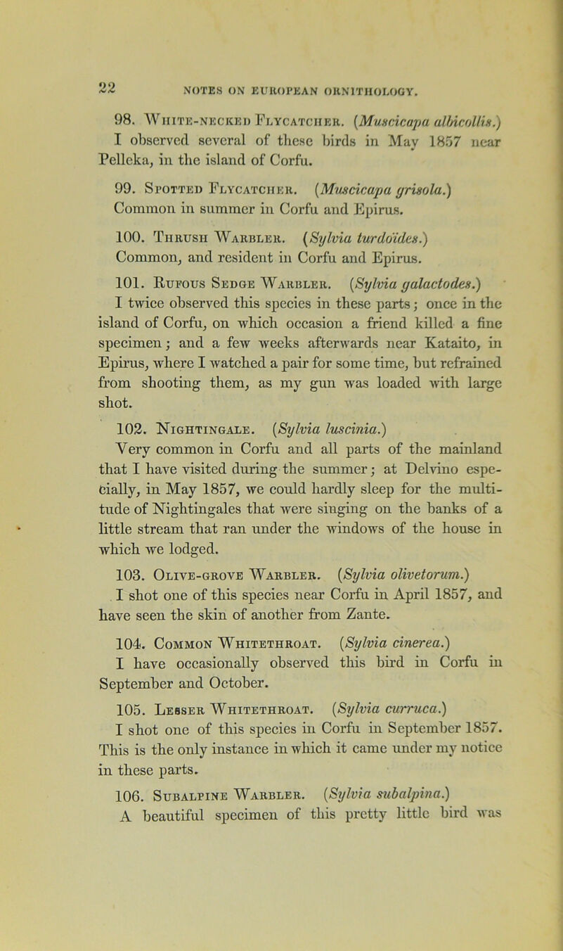 98. White-necked Flycatcher. (Muscicapa albicollis.) I observed several of these birds in May 1857 near Pelleka, in the island of Corfu. 99. Spotted Flycatcher. (Muscicapa grisola.) Common in summer in Corfu and Epirus. 100. Thrush Warbler. (Sylvia turdoides.) Common, and resident in Corfu and Epirus. 101. Rufous Sedge Warbler. (Sylvia galadodes.) I twice observed this species in these parts; once in the island of Corfu, on which occasion a friend killed a fine specimen; and a few weeks afterwards near Kataito, in Epirus, where I watched a pair for some time, hut refrained from shooting them, as my gun was loaded with large shot. 102. Nightingale. (Sylvia luscinia.) Very common in Corfu and all parts of the mainland that I have visited during the summer; at Delvino espe- cially, in May 1857, we could hardly sleep for the multi- tude of Nightingales that were singing on the banks of a little stream that ran under the windows of the house in which we lodged. 103. Olive-grove Warbler. (Sylvia olivetorum.) I shot one of this species near Corfu in April 1857, and have seen the skin of another from Zante. 104. Common Whitethroat. (Sylvia cinerea.) I have occasionally observed this bird in Corfu in September and October. 105. Lesser Whitethroat. (Sylvia curruca.) I shot one of this species in Corfu in September 1857. This is the only instance in which it came under my notice in these parts. 106. Subalpine Warbler. (Sylvia subalpina.) A beautiful specimen of this pretty little bird was